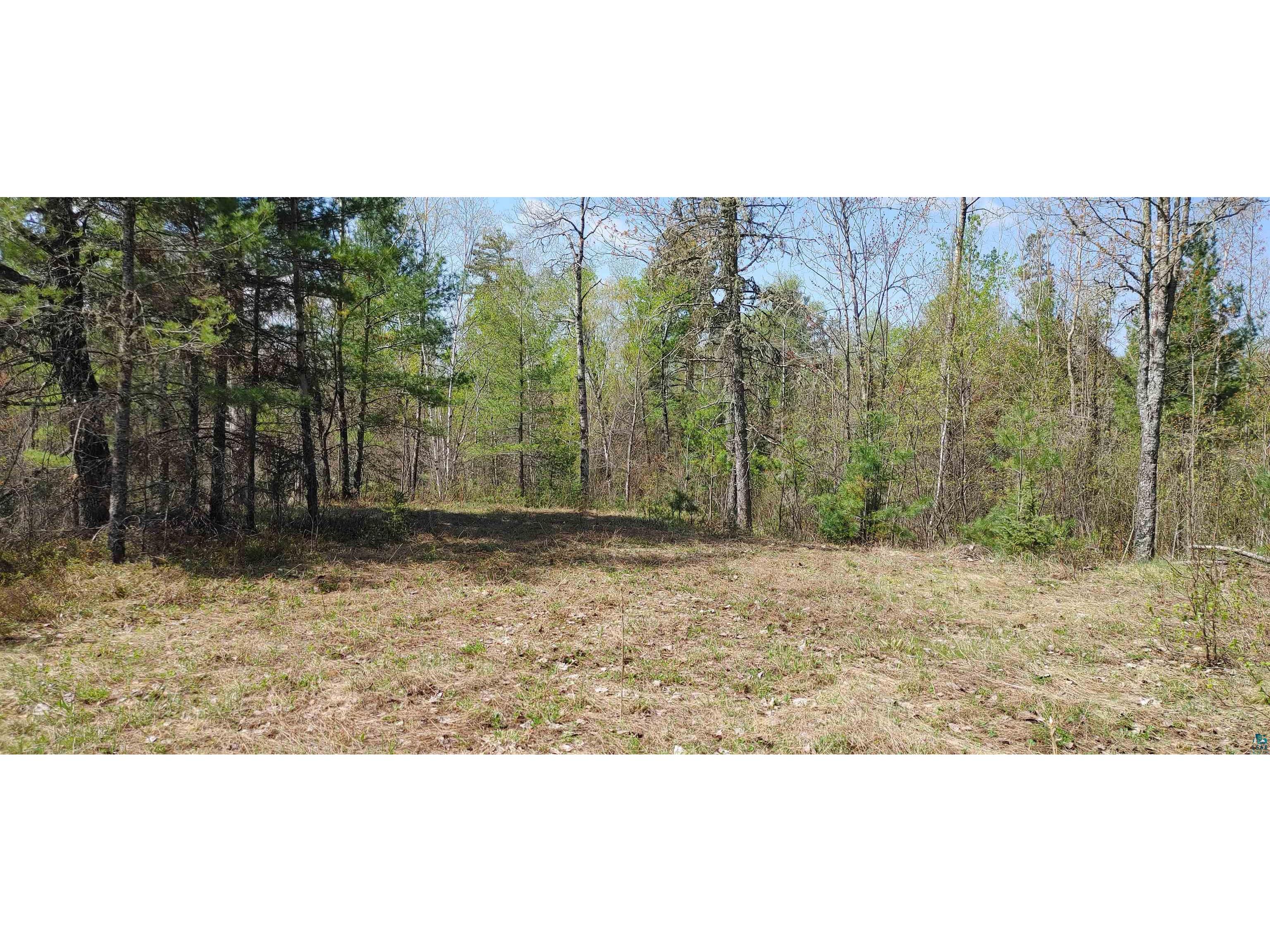 1687 Golden Ridge Tr Ely MN 55731 6124884 image14