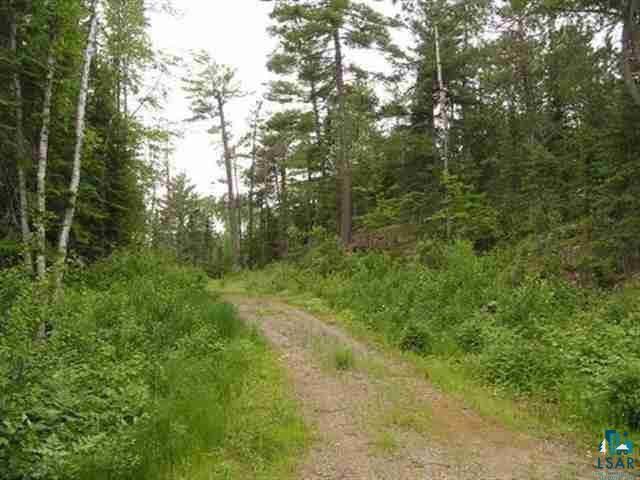 1687 Golden Ridge Tr Ely MN 55731 6124884 image2