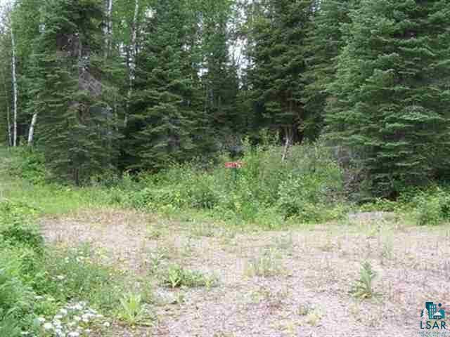 1687 Golden Ridge Tr Ely MN 55731 6124884 image4
