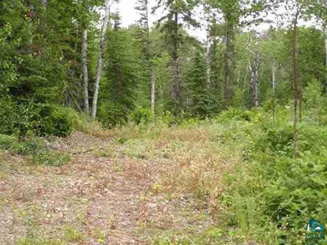 1687 Golden Ridge Tr Ely MN 55731 6124884 image5