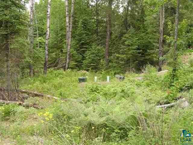 1687 Golden Ridge Tr Ely MN 55731 6124884 image6