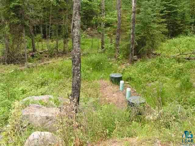1687 Golden Ridge Tr Ely MN 55731 6124884 image8