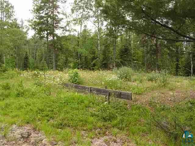 1687 Golden Ridge Tr Ely MN 55731 6124884 image9