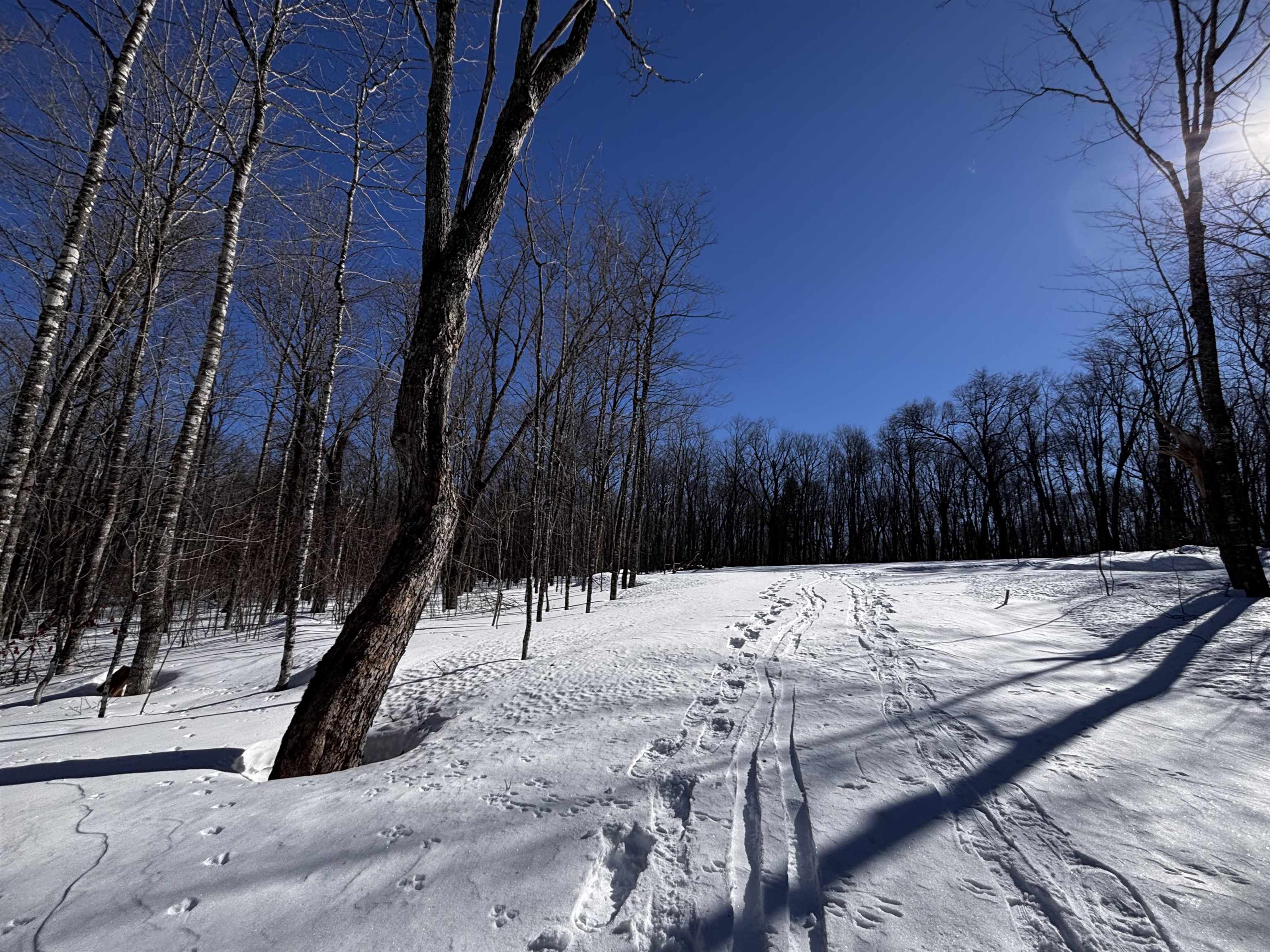 169 Hillside Dr Lutsen MN 55612 6123222 image1