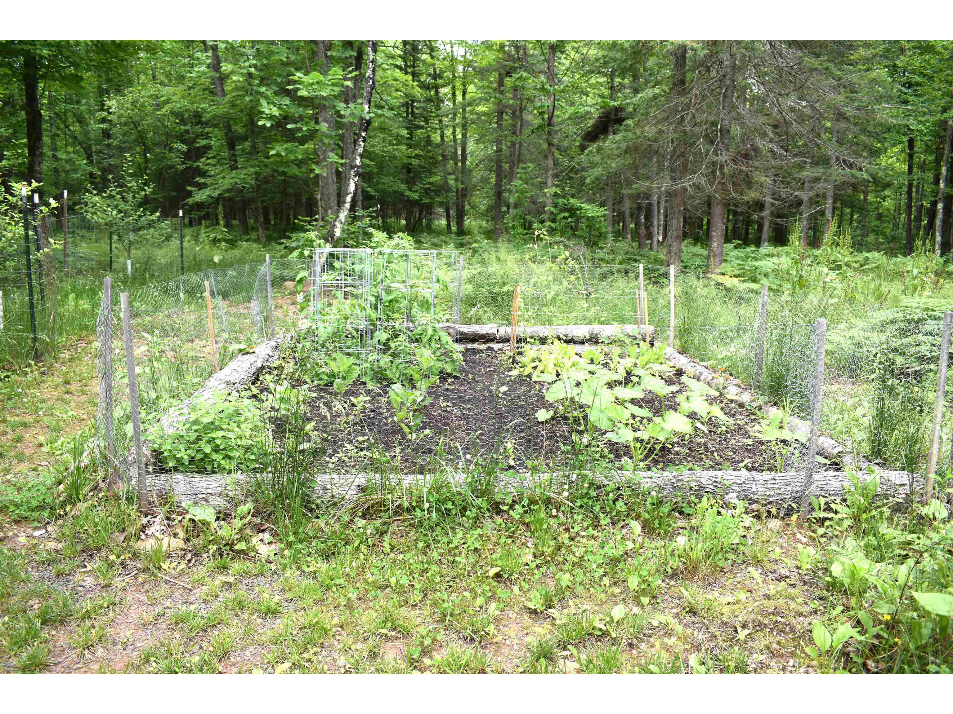 16990 County Hwy H Mason WI 54856 6120591 image33