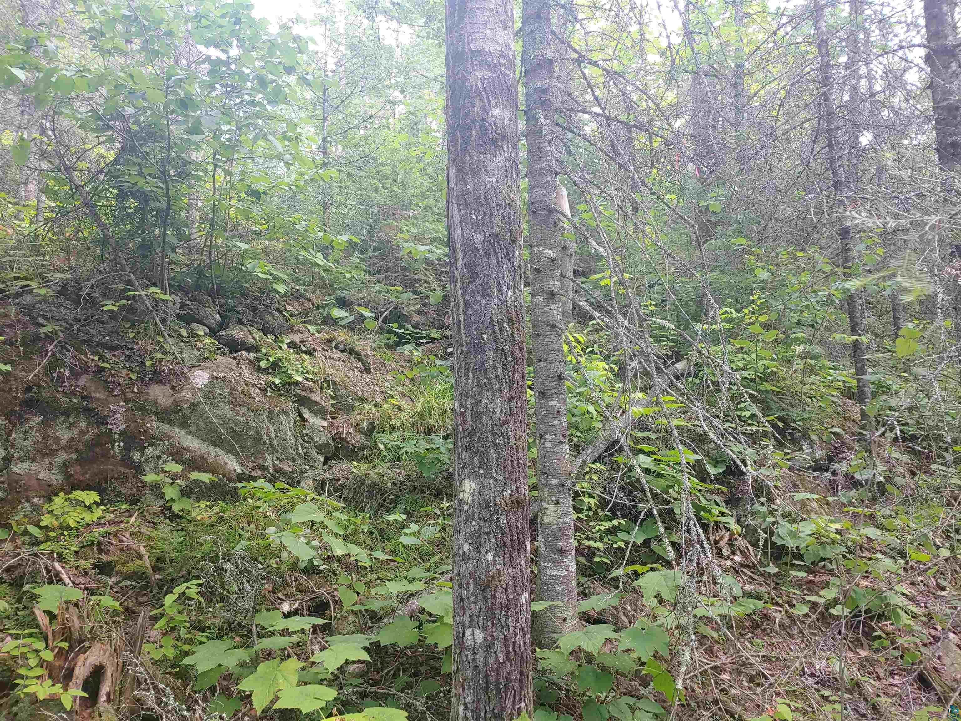 16xx Gun Club Rd, Two Harbors, MN, 55616 MLS 6107757 Edina Realty