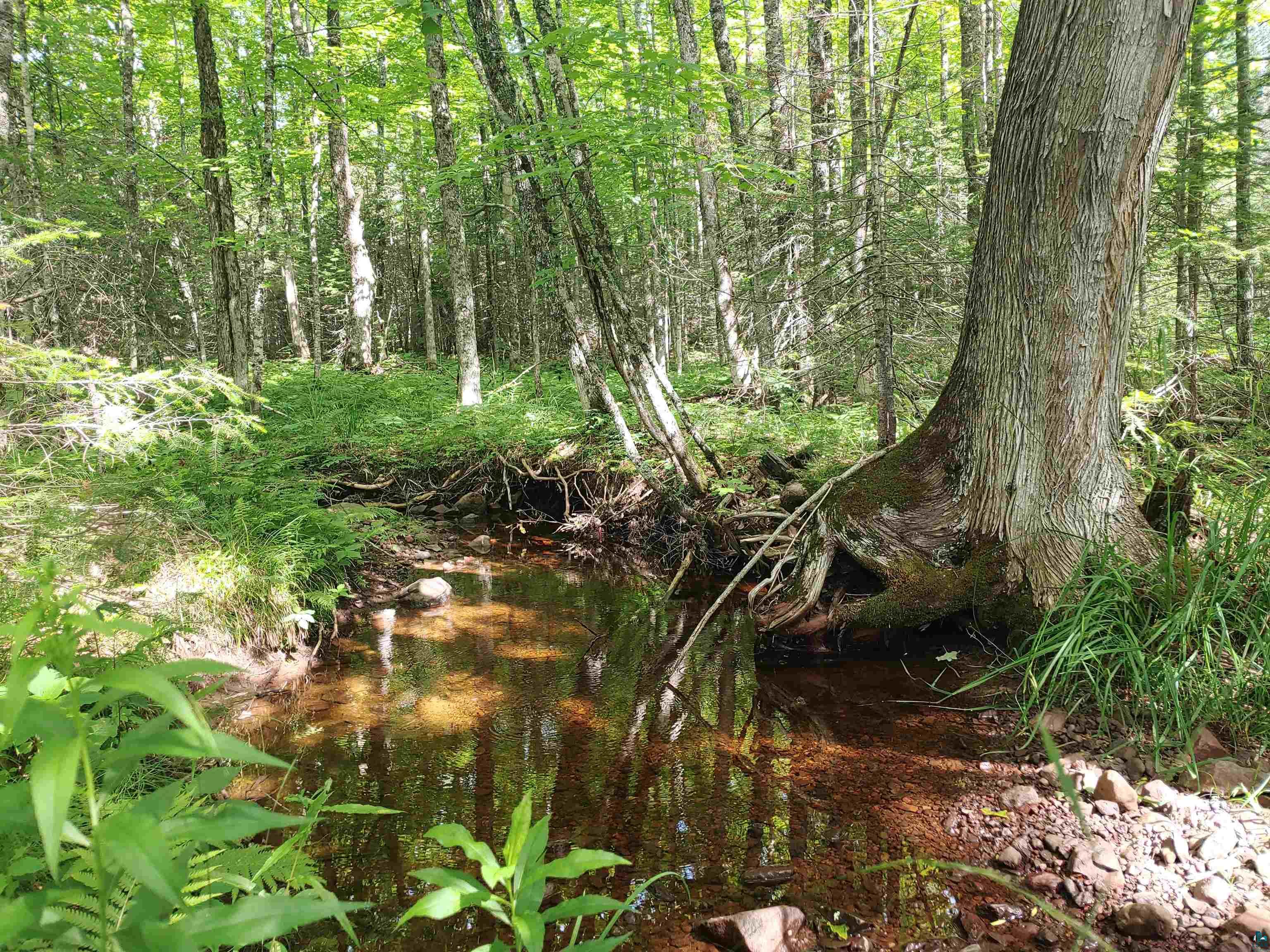 16xxx Gun Club Rd, Two Harbors, MN, 55616 MLS 6107756 Edina Realty