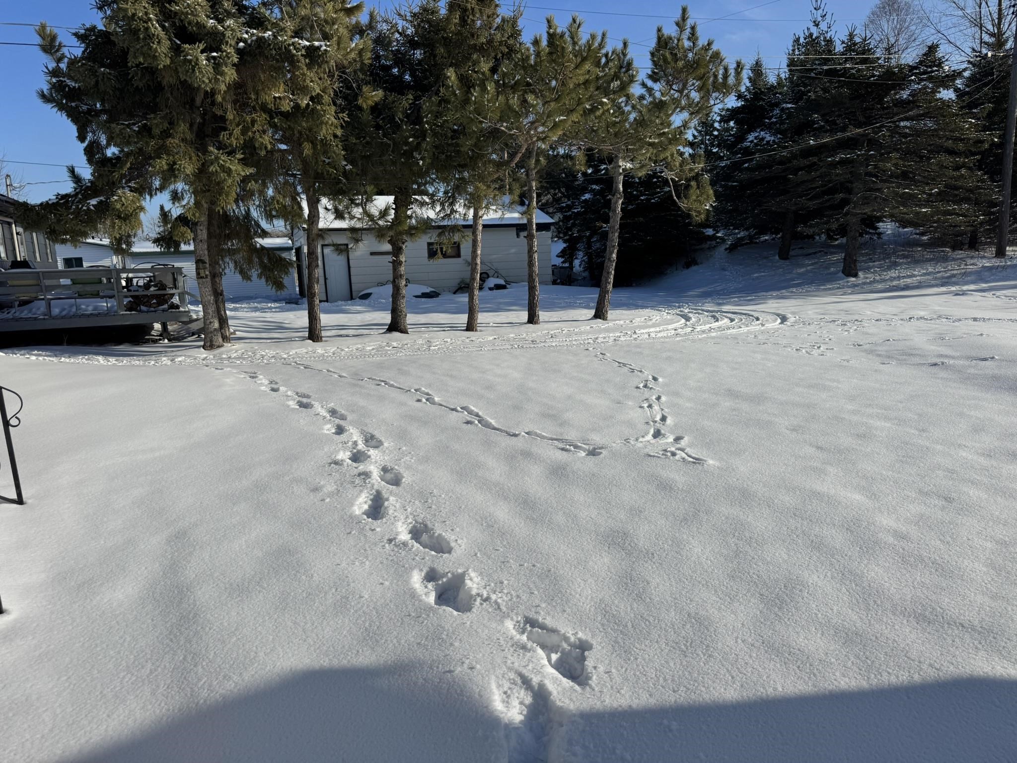 17 Law Dr Silver Bay MN 55614 6123300 image3