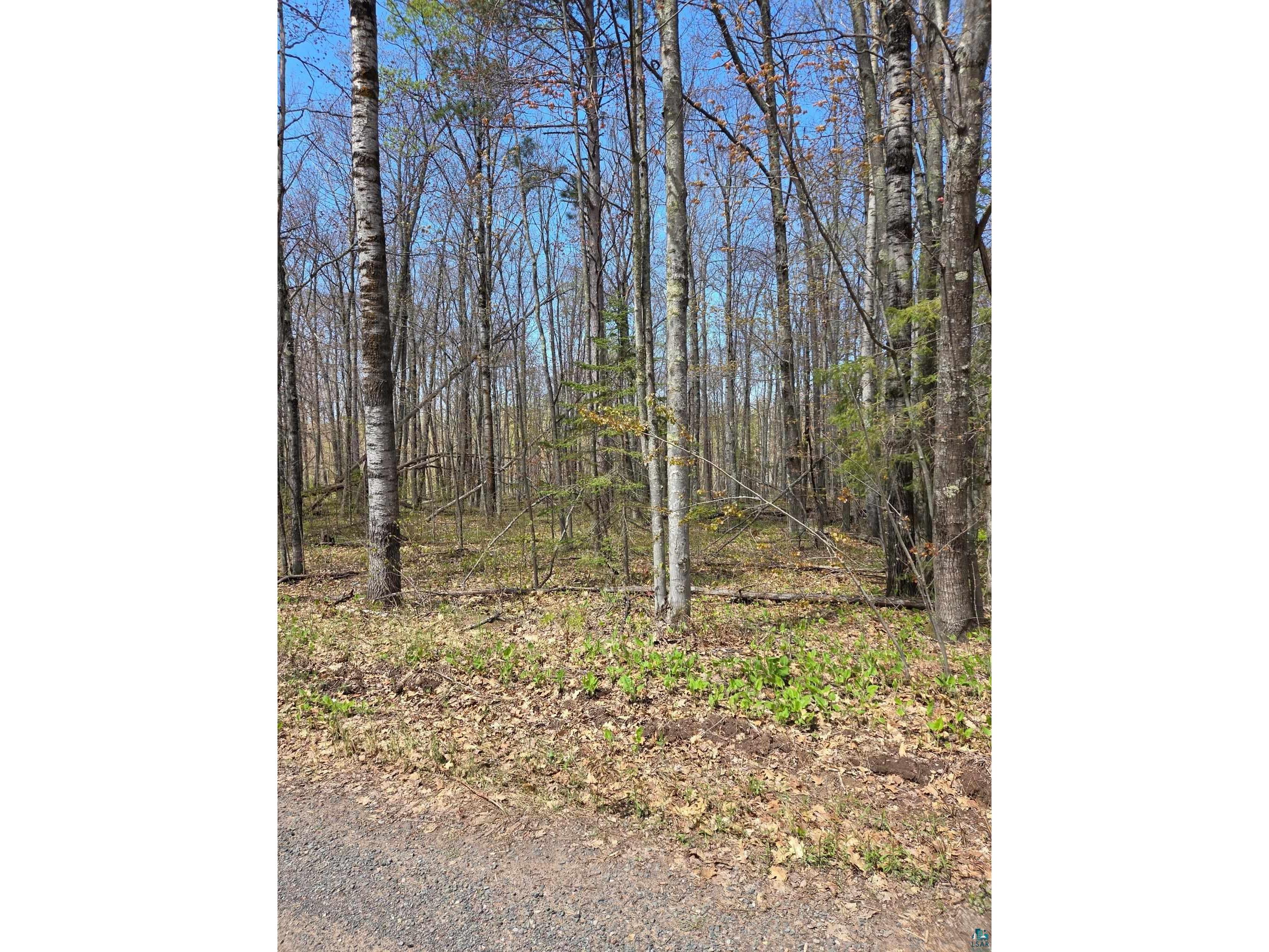 17--- Short Cut Rd Herbster WI 54844 6125435 image4