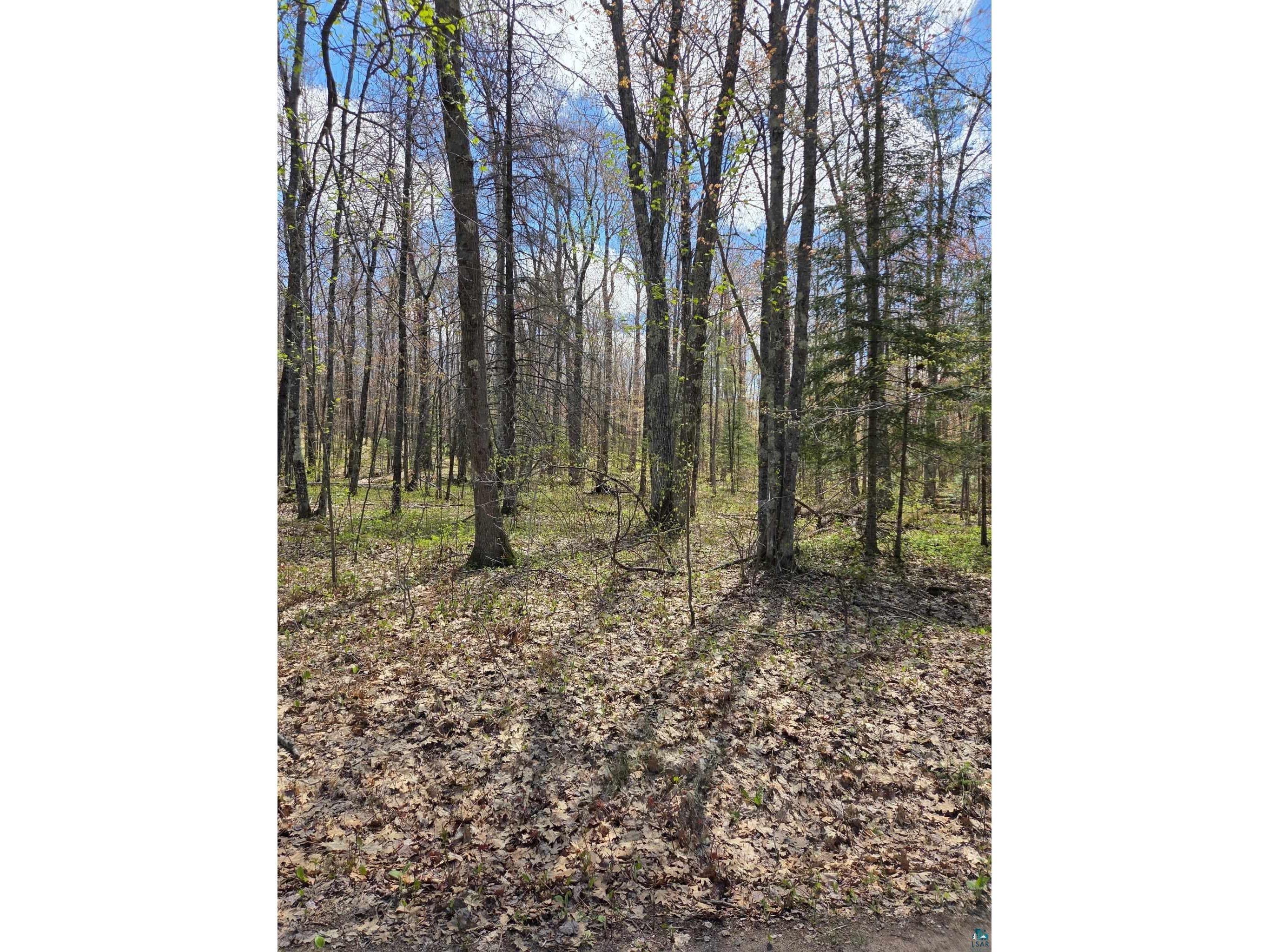 17--- Short Cut Rd Herbster WI 54844 6125435 image8
