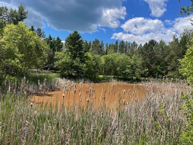 1735 Hwy 12 Two Harbors MN 55616 6121947 image11