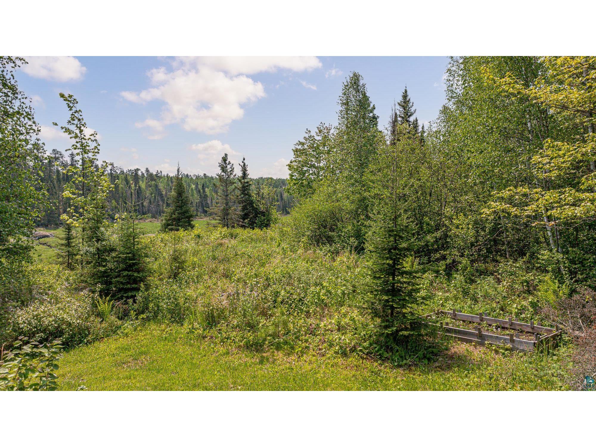 1736 N Grassy Rd Ely MN 55731 6124991 image59