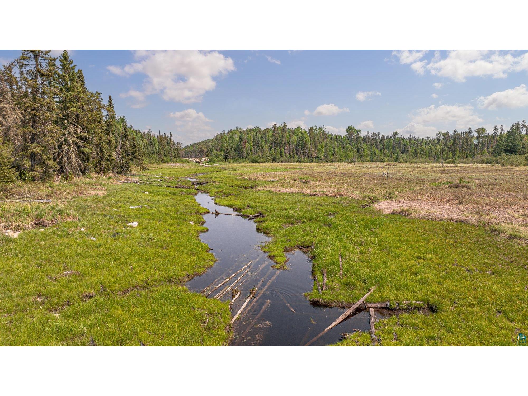1736 N Grassy Rd Ely MN 55731 6124991 image64