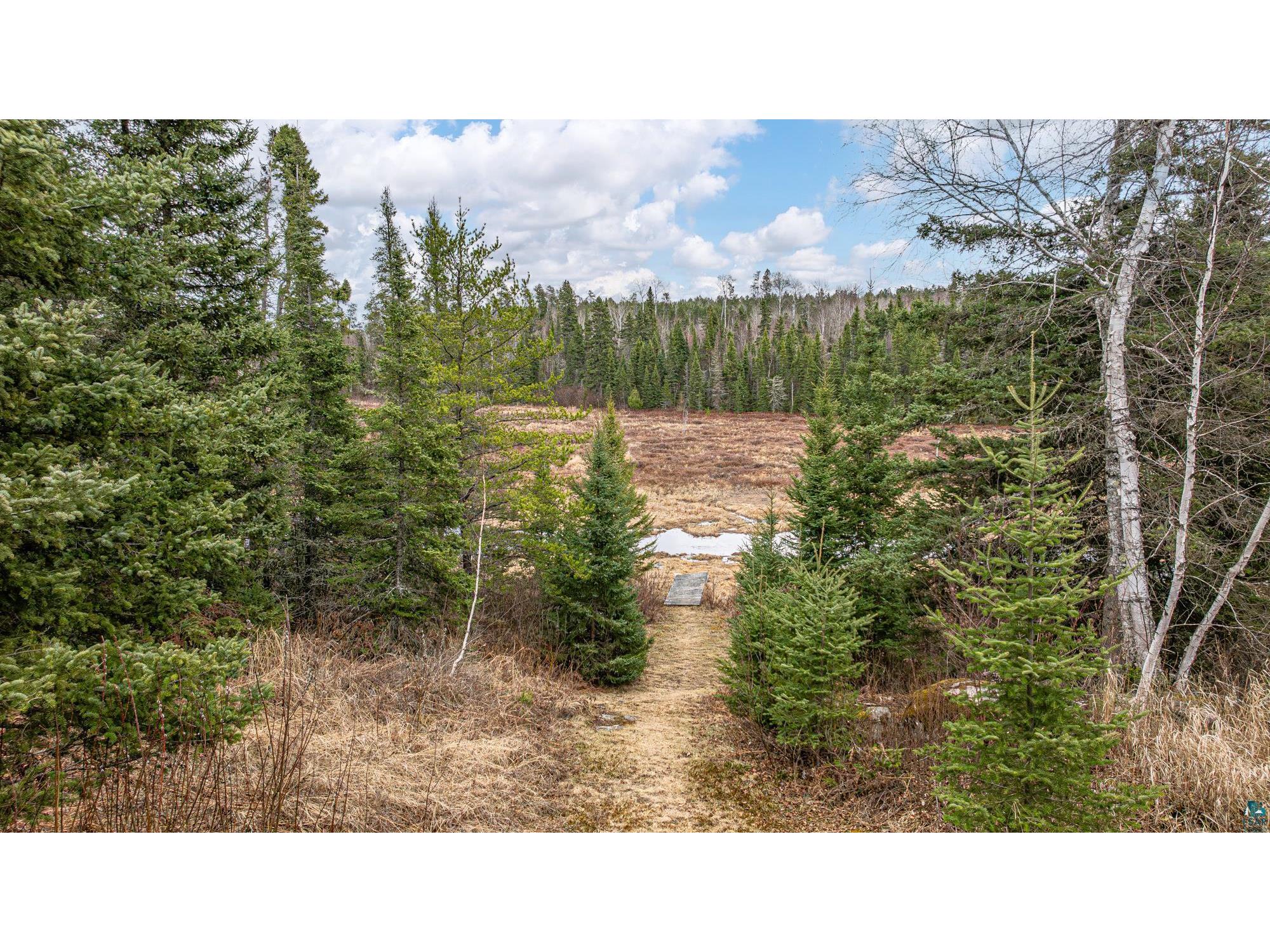 1736 N Grassy Rd Ely MN 55731 6124991 image67