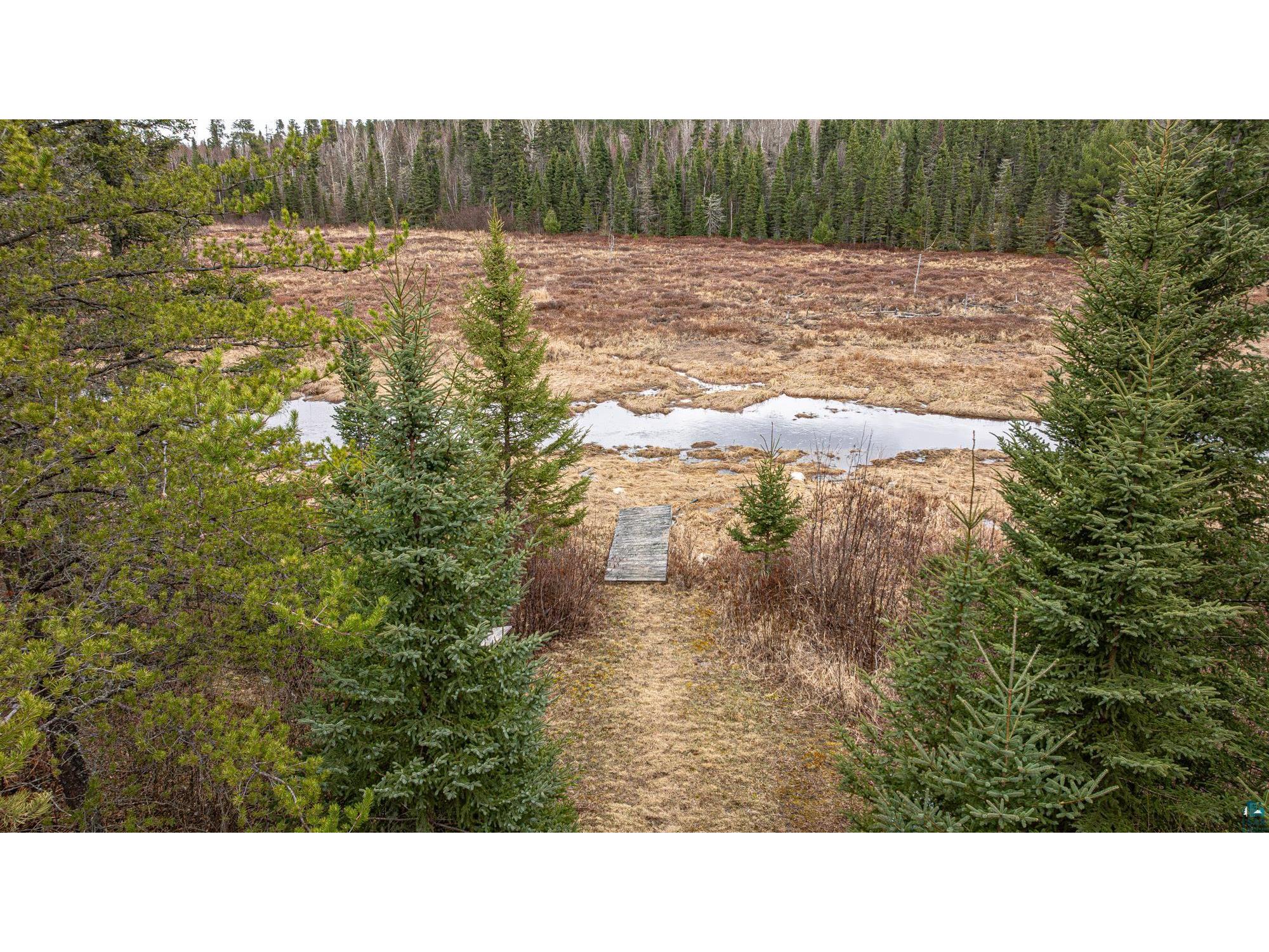 1736 N Grassy Rd Ely MN 55731 6124991 image68