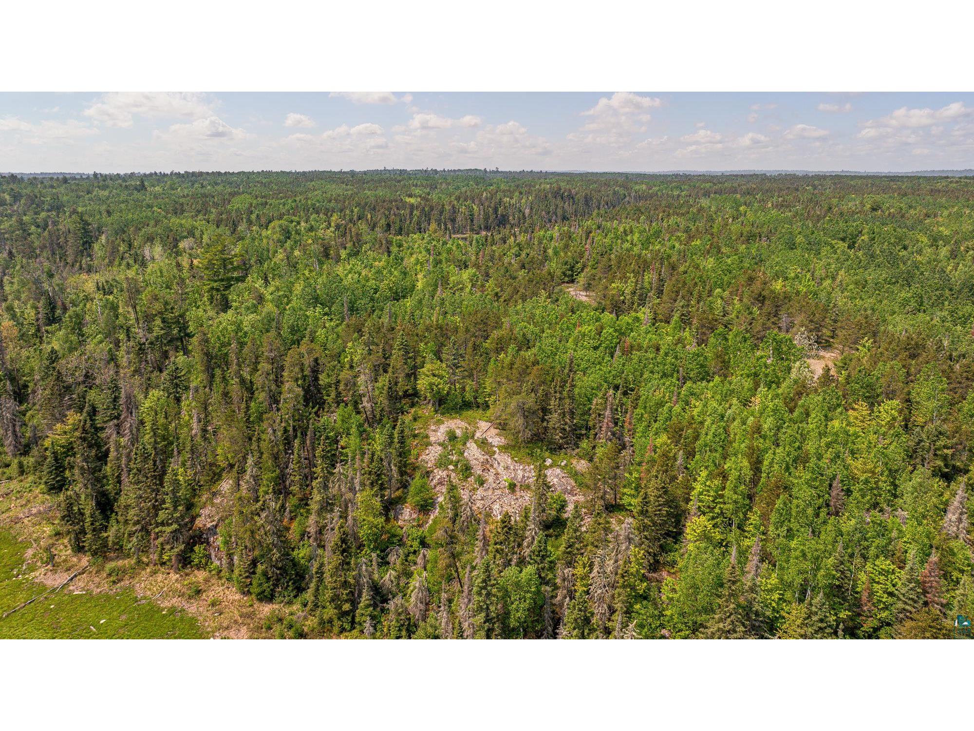 1736 N Grassy Rd Ely MN 55731 6124991 image94