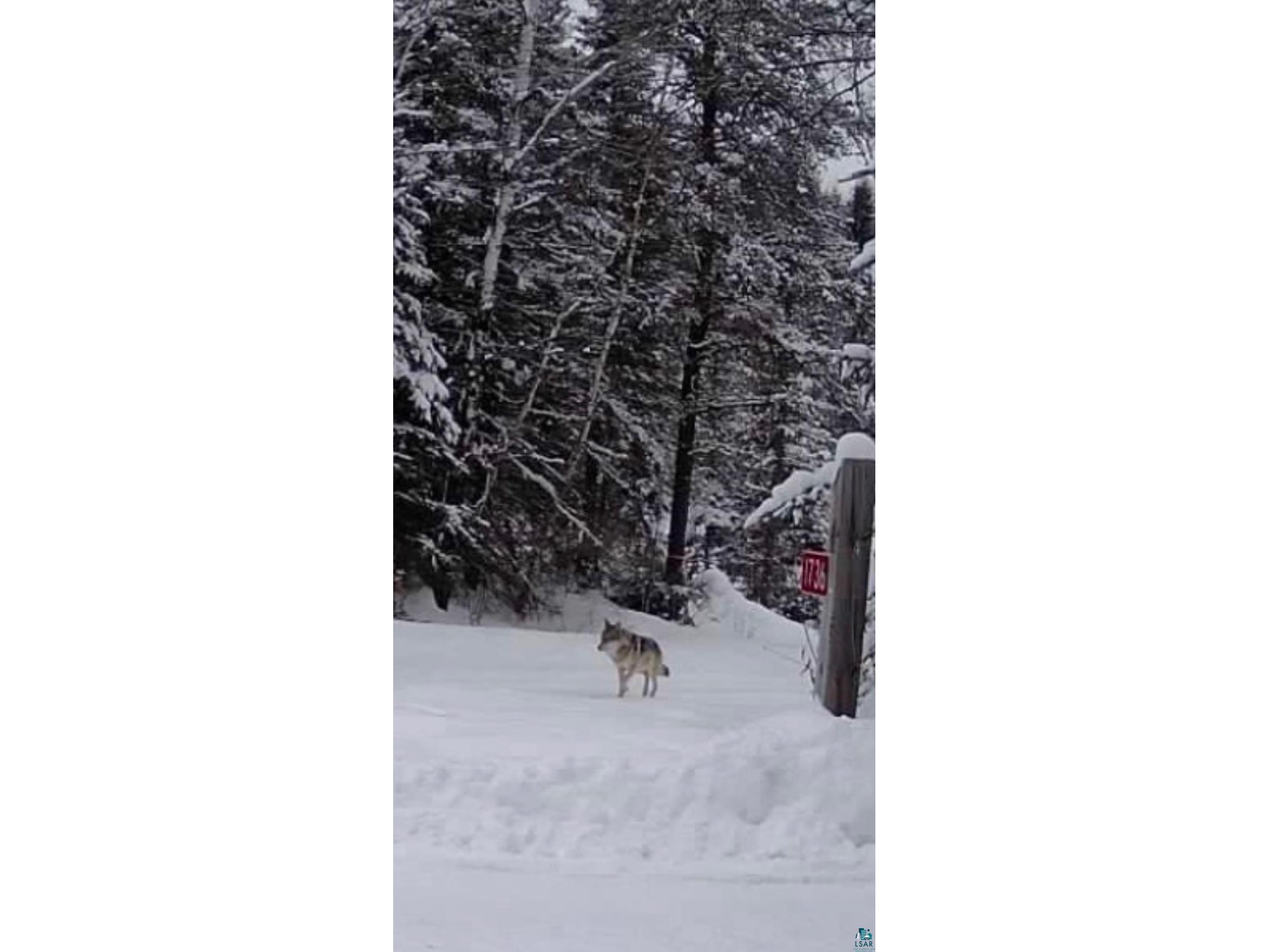 1736 N Grassy Rd Ely MN 55731 6124991 image97