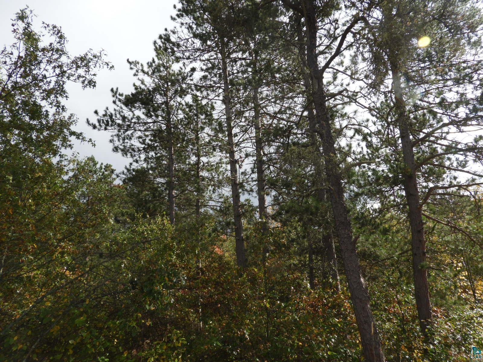 1765 E Wilderness Ct Barnes WI 54873 6110908 image11