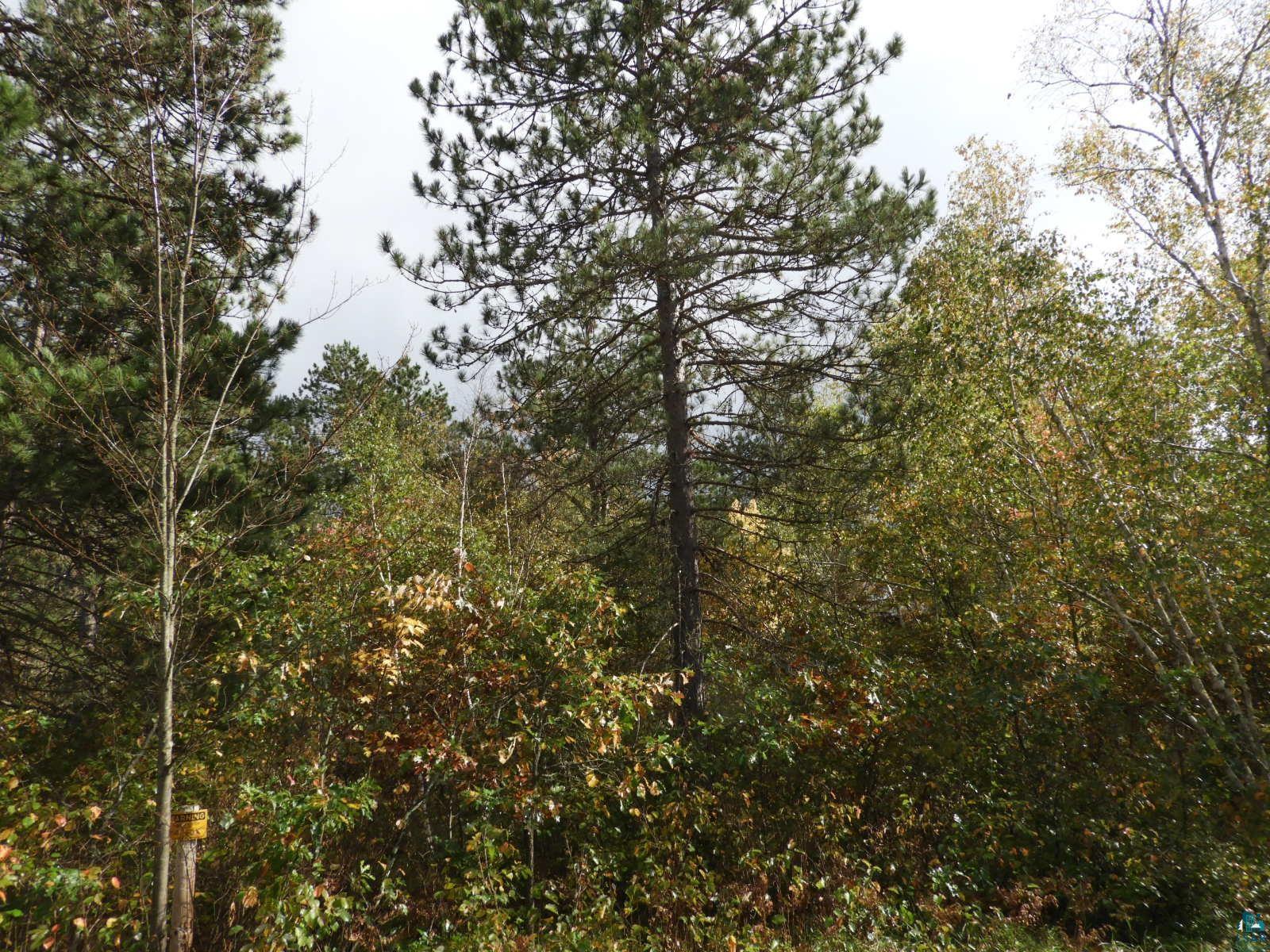 1765 E Wilderness Ct Barnes WI 54873 6110908 image12