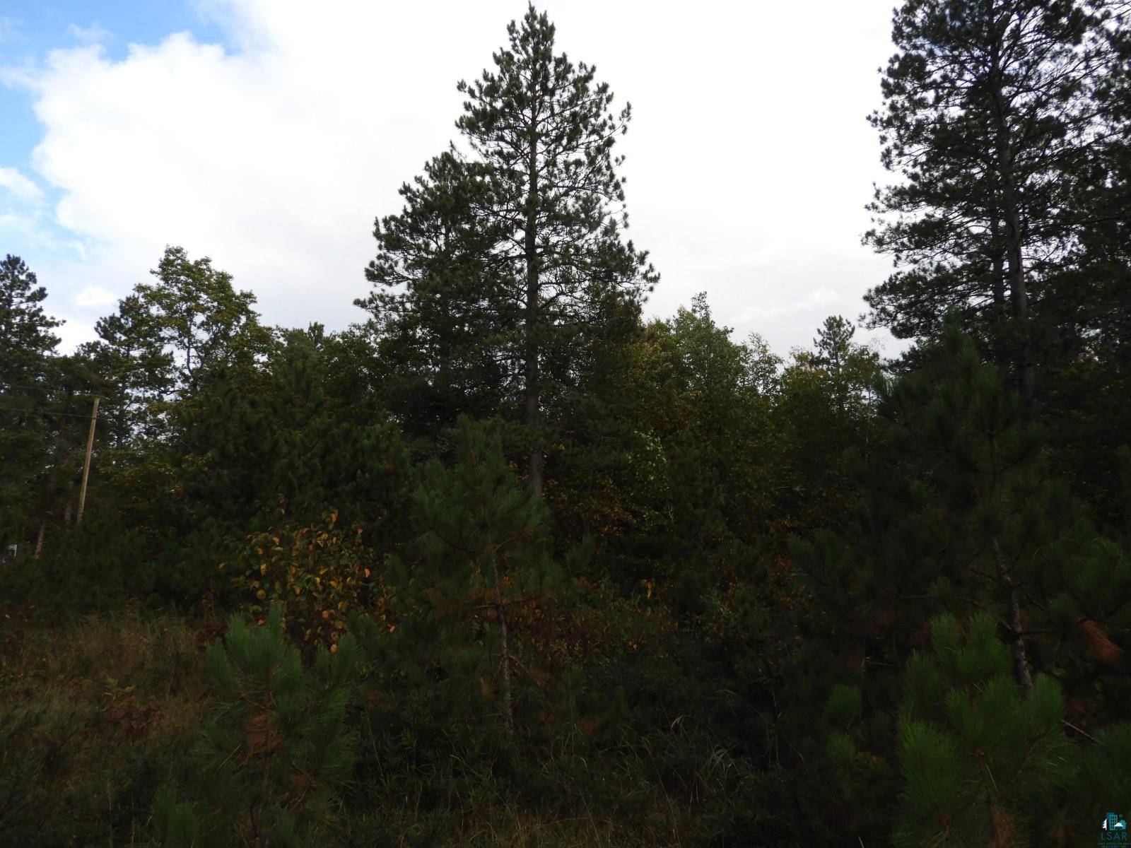 1765 E Wilderness Ct Barnes WI 54873 6110908 image2