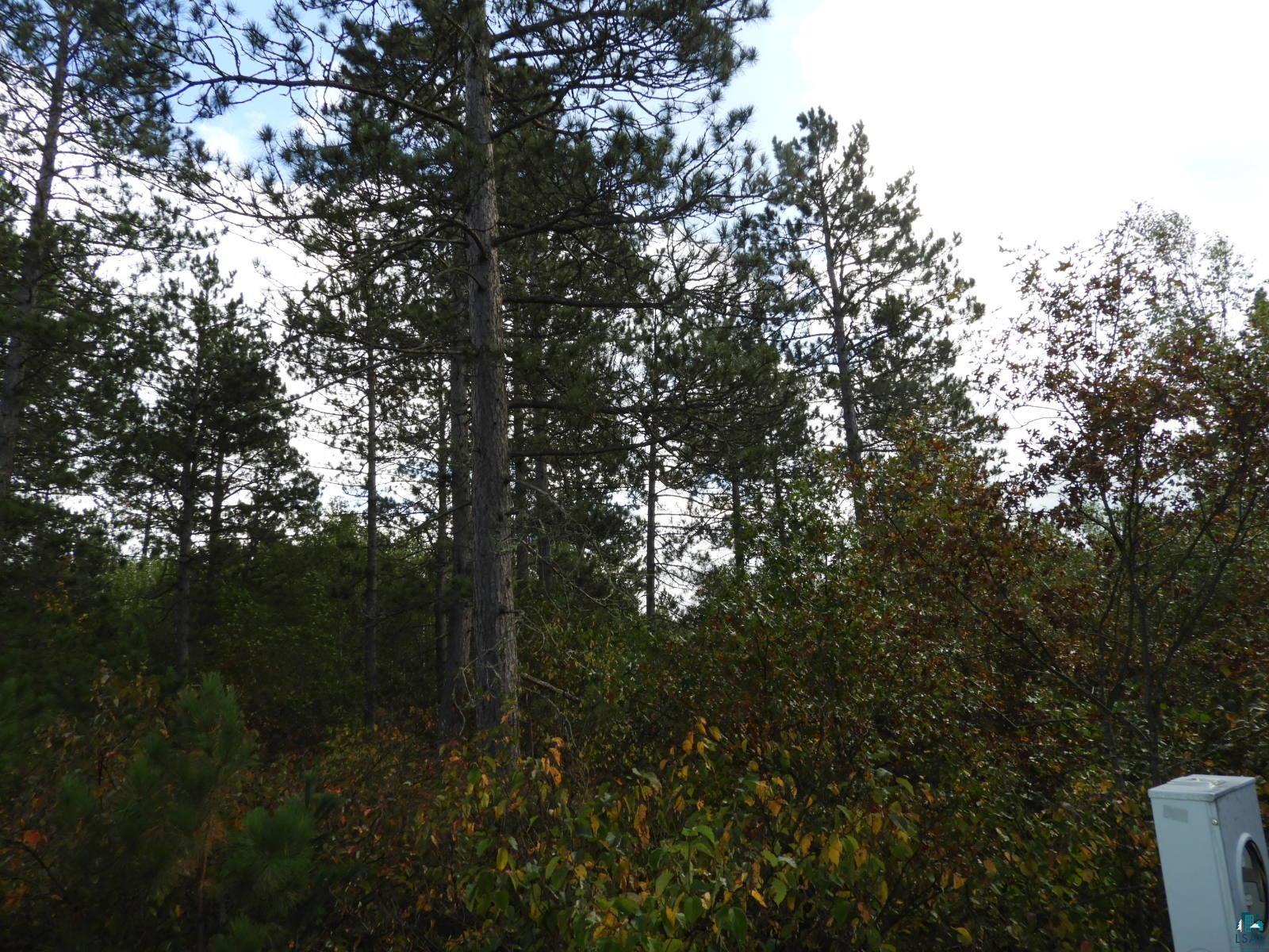 1765 E Wilderness Ct Barnes WI 54873 6110908 image3