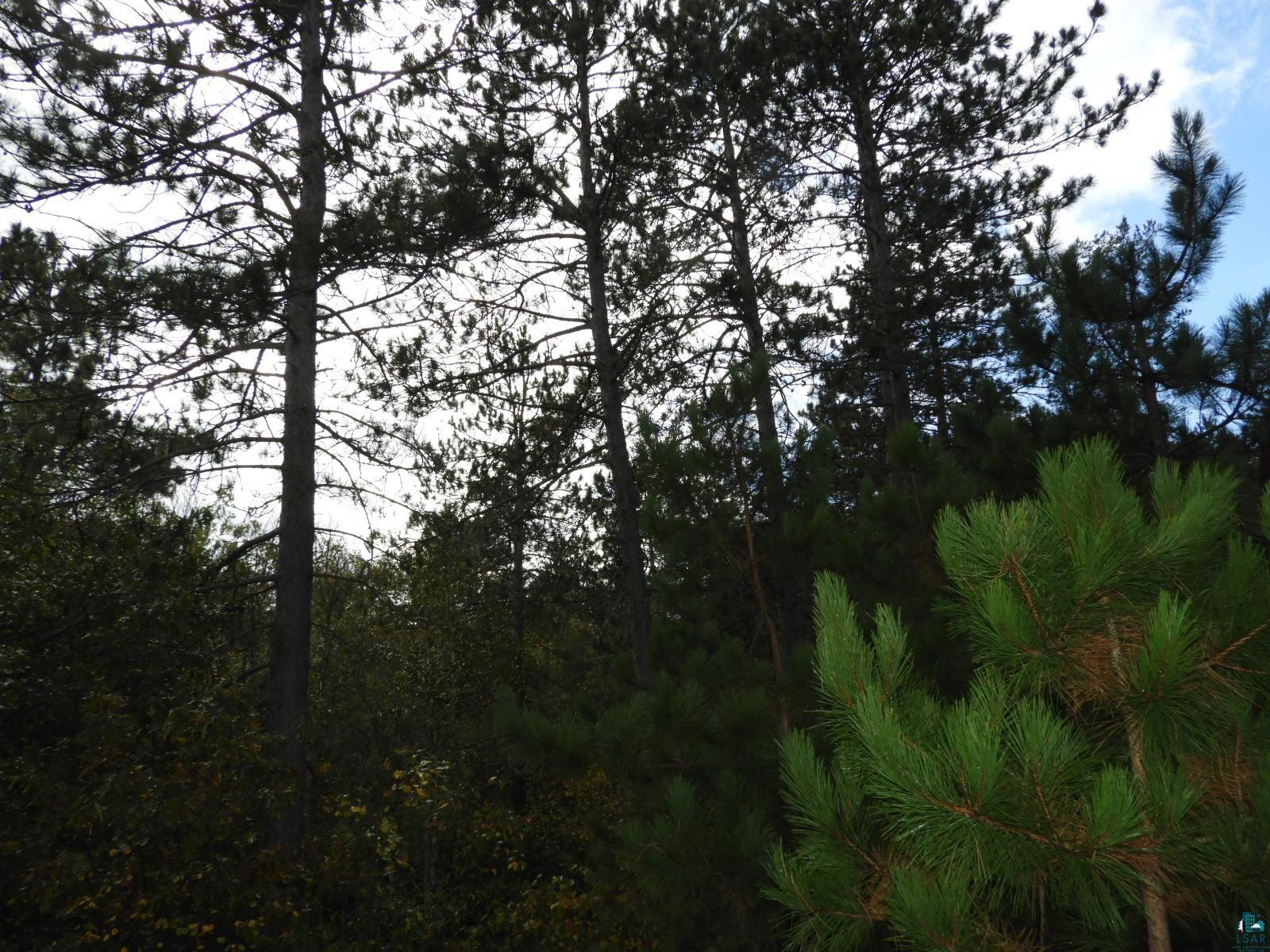 1765 E Wilderness Ct Barnes WI 54873 6110908 image4