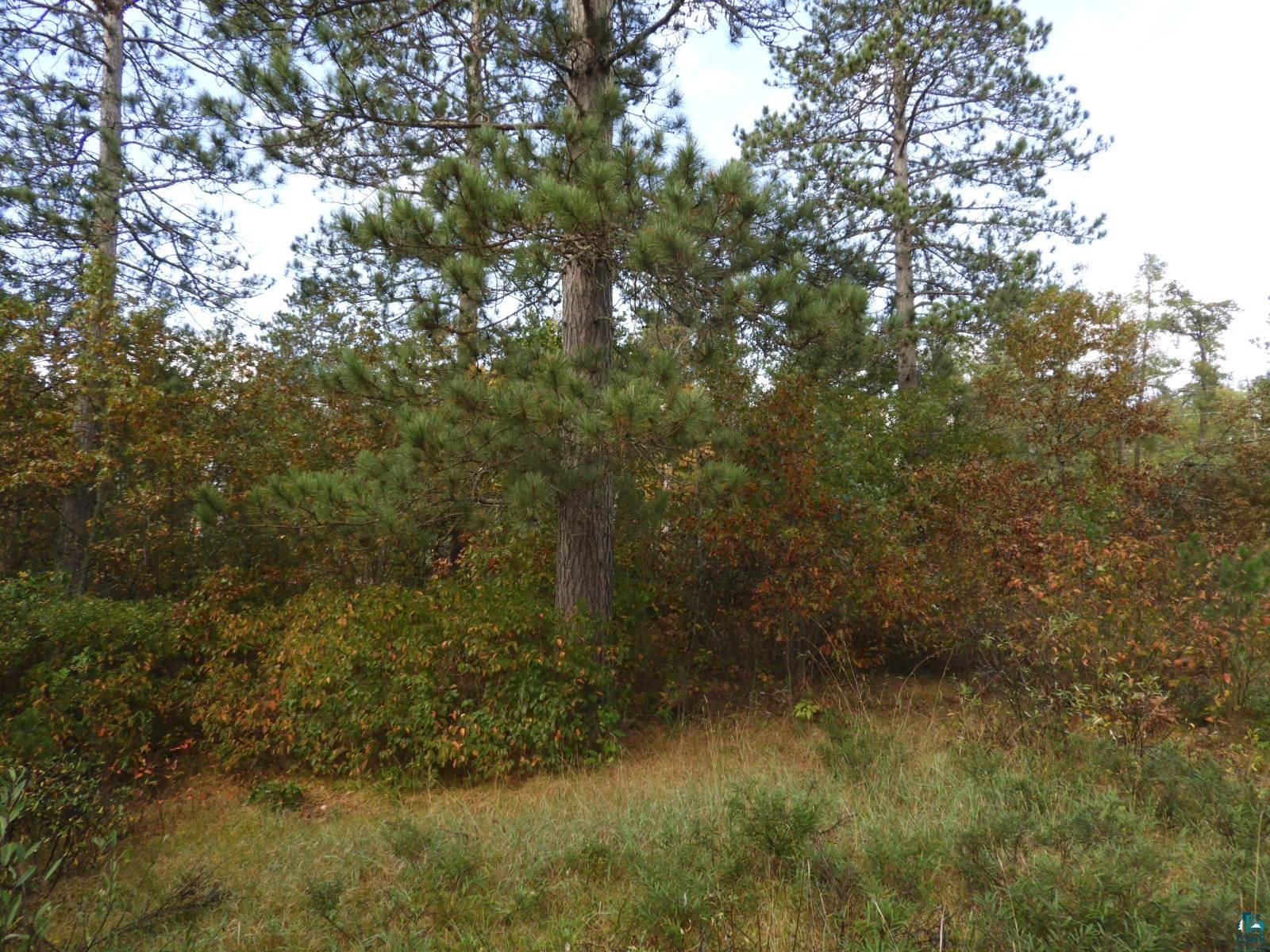 1765 E Wilderness Ct Barnes WI 54873 6110908 image5