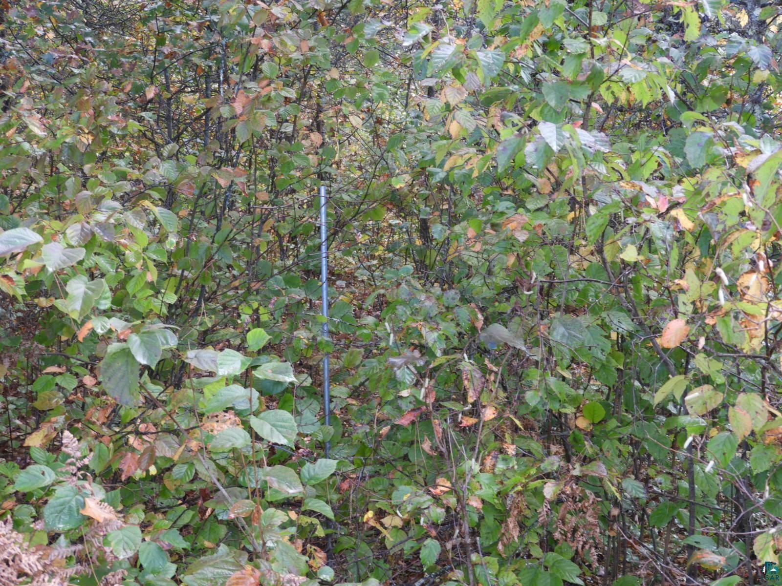 1765 E Wilderness Ct Barnes WI 54873 6110908 image6