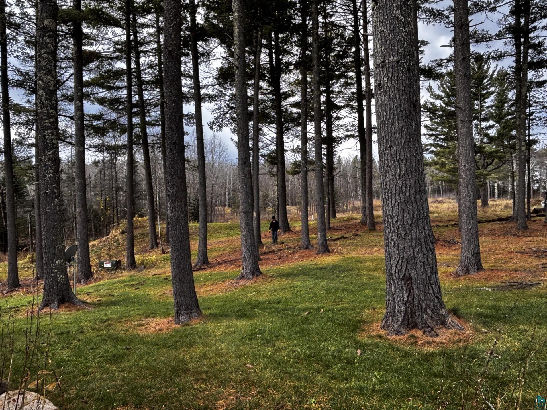 1774 Highway 2 Two Harbors MN 55616 - Little Stewart 6123778 image9