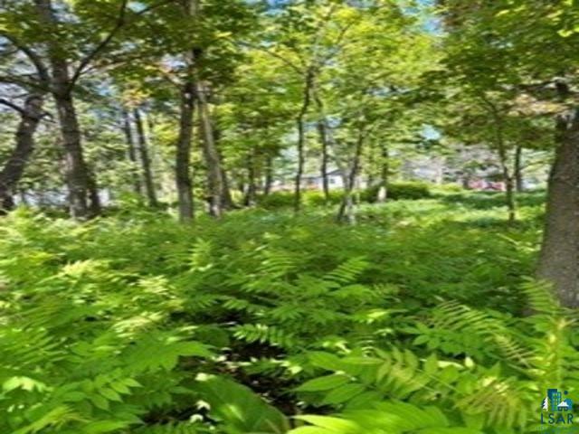 1788 Wolf Ridge Rd Cloquet MN 55720 6125355 image17