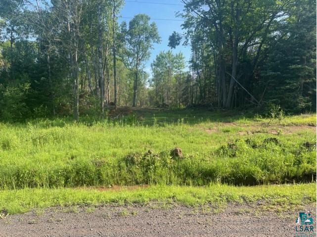 17XX E Pearson Rd Foxboro WI 54836 6109076 image1