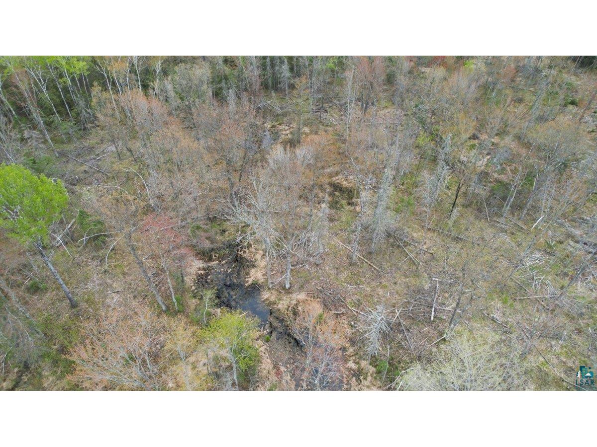 17XX E Pearson Rd Foxboro WI 54836 6125553 image4