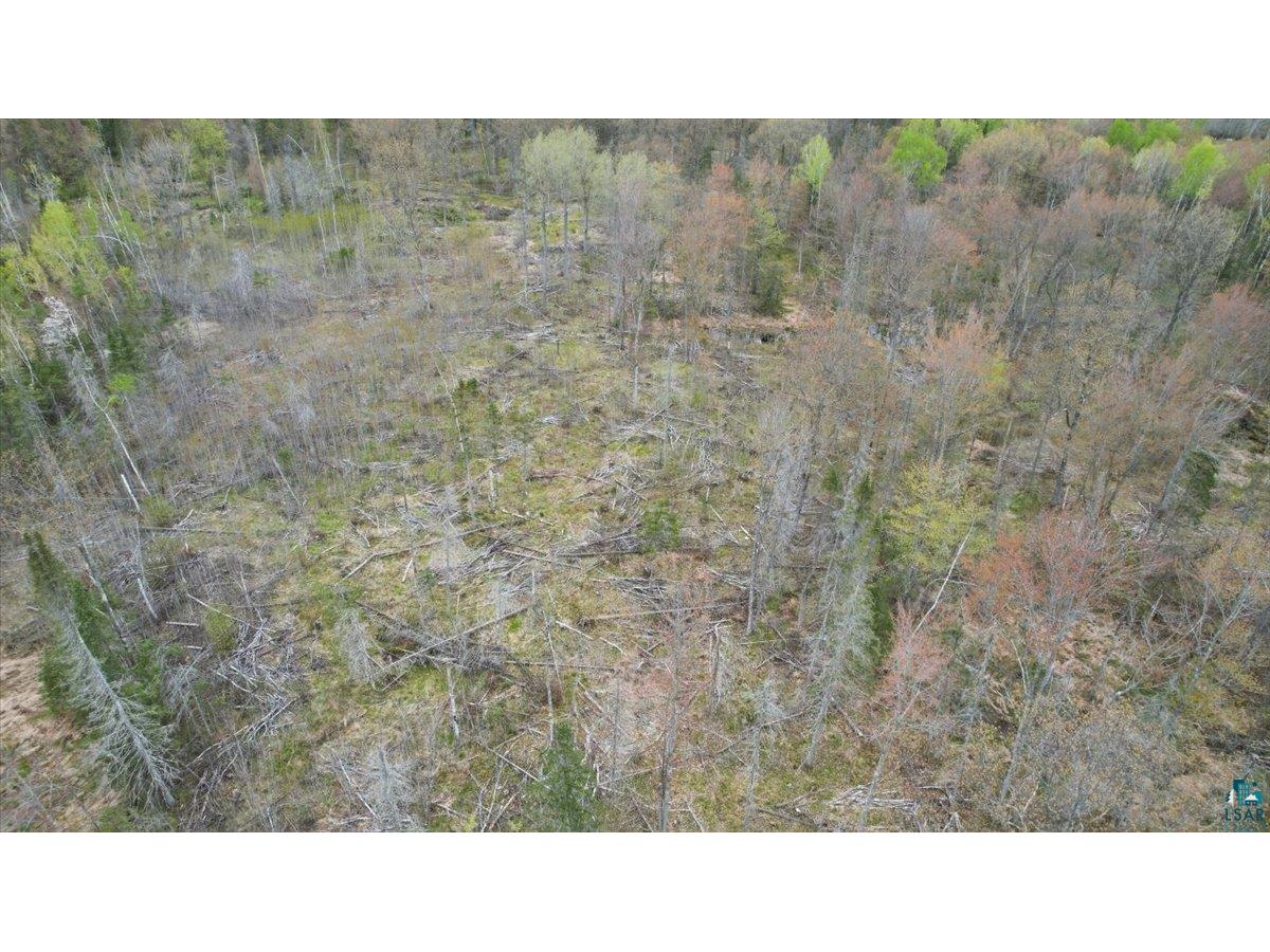 17XX E Pearson Rd Foxboro WI 54836 6125553 image7