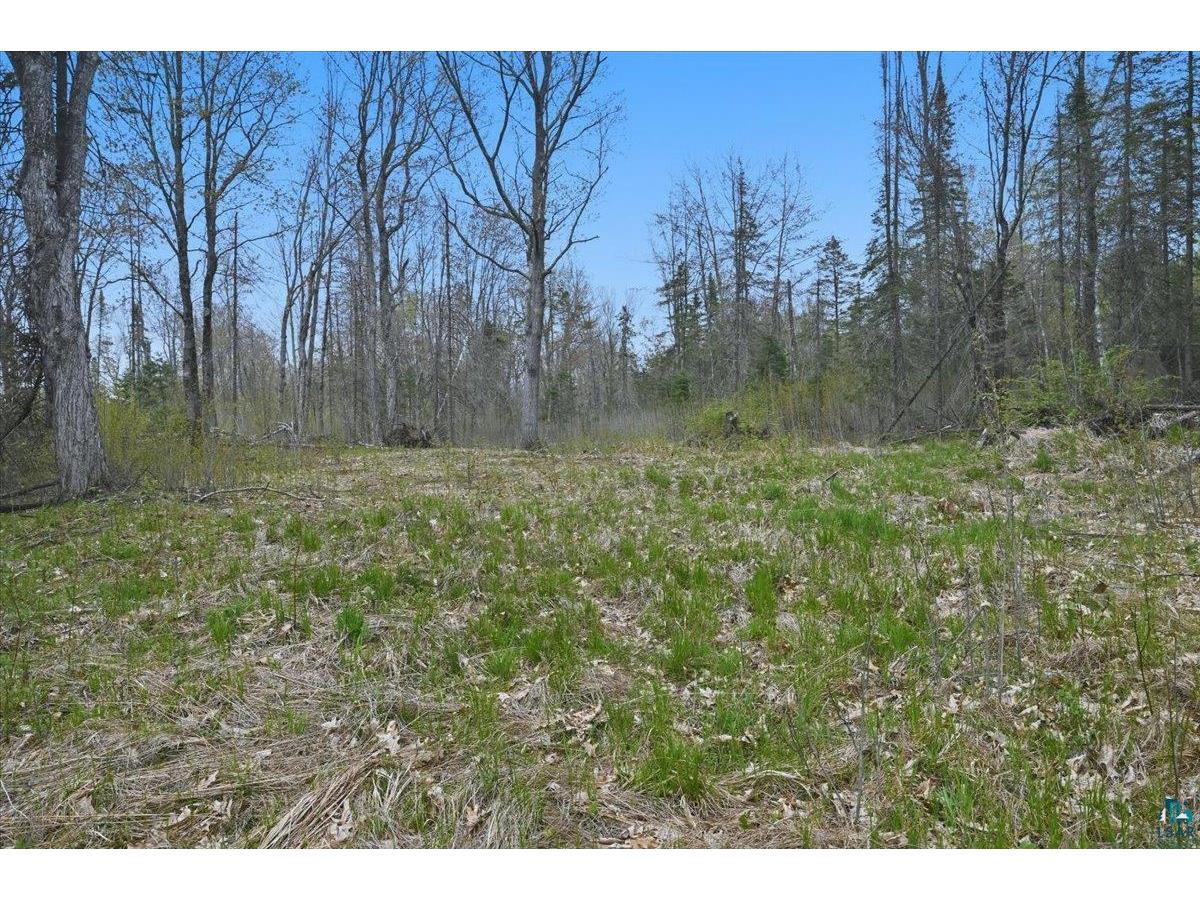 17XX E Pearson Rd Foxboro WI 54836 6125553 image8