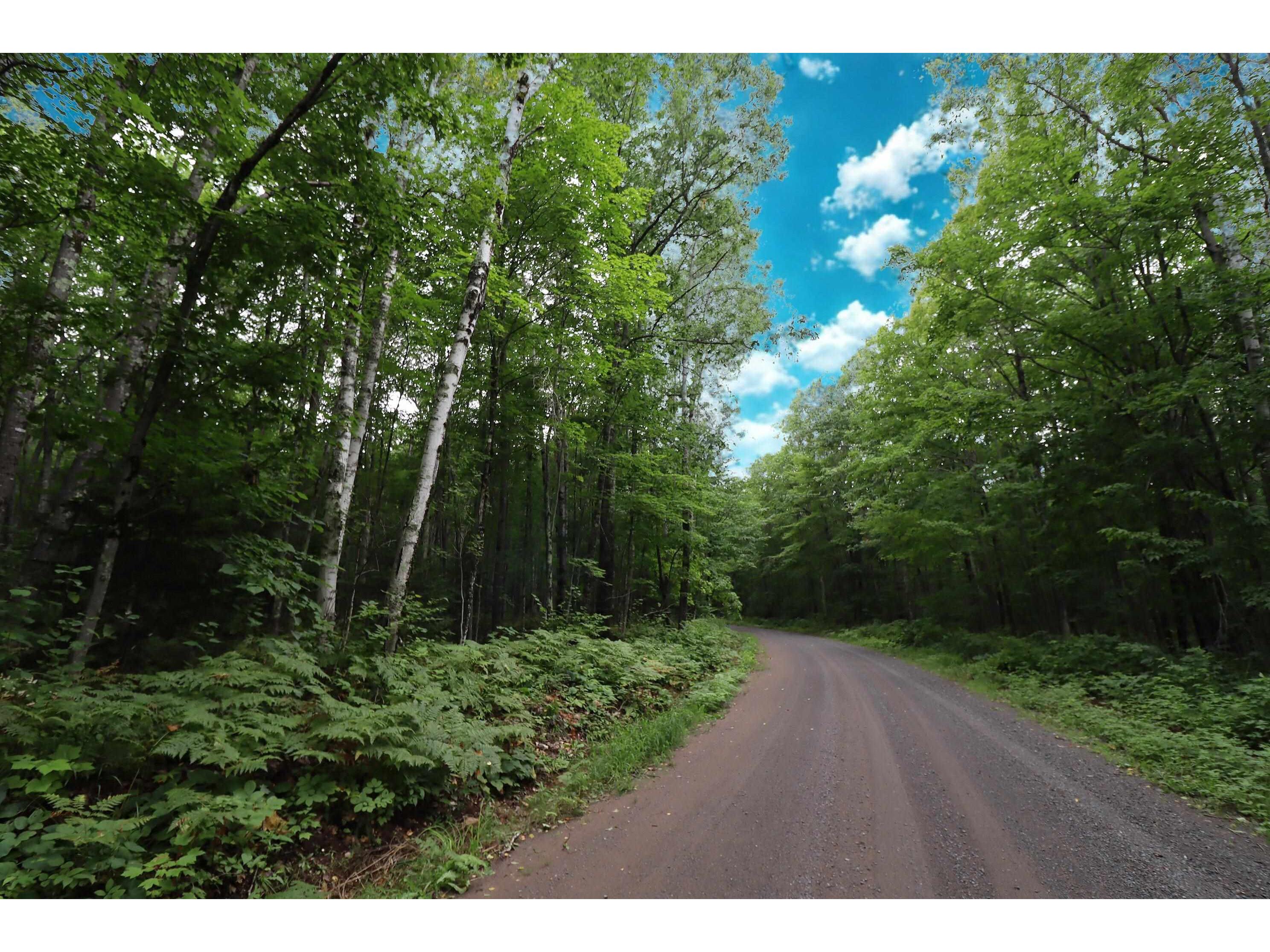 17XXX Short Cut Rd Herbster WI 54844 6121738 image1