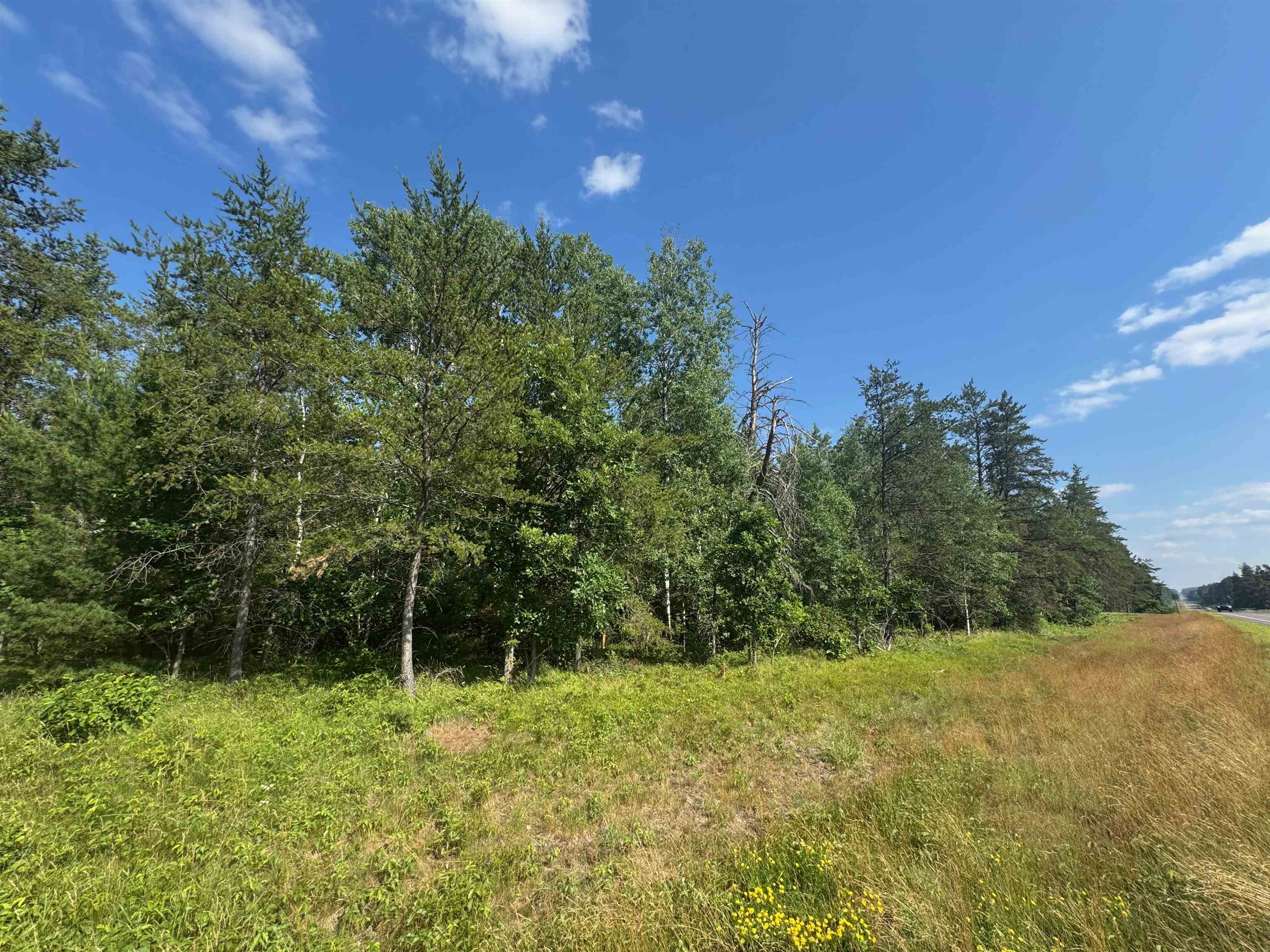 18.8 acres on State Hwy 27 Hayward WI 54843 - Spring 6121522 image13