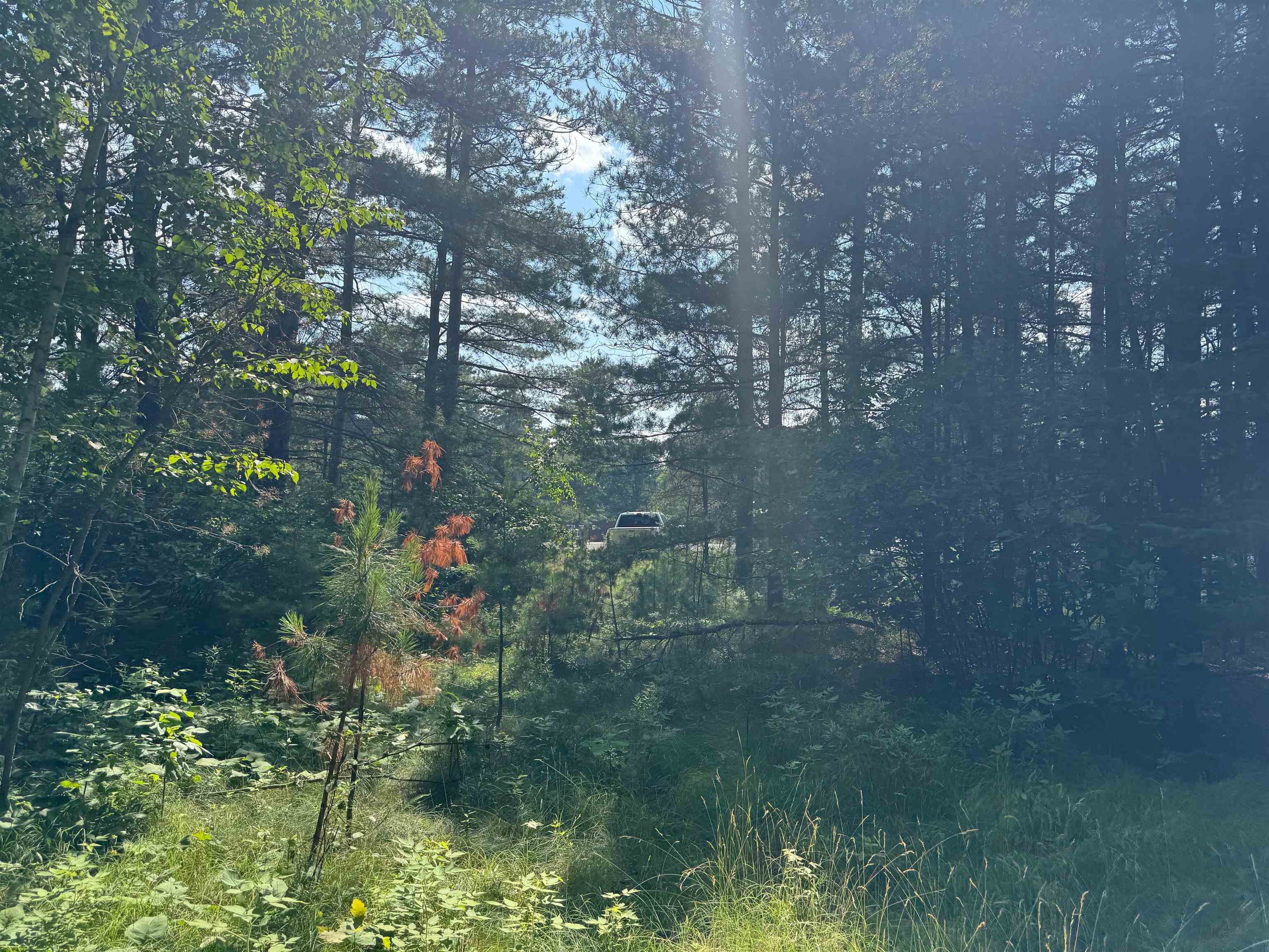 18.8 acres on State Hwy 27 Hayward WI 54843 - Spring 6121522 image16