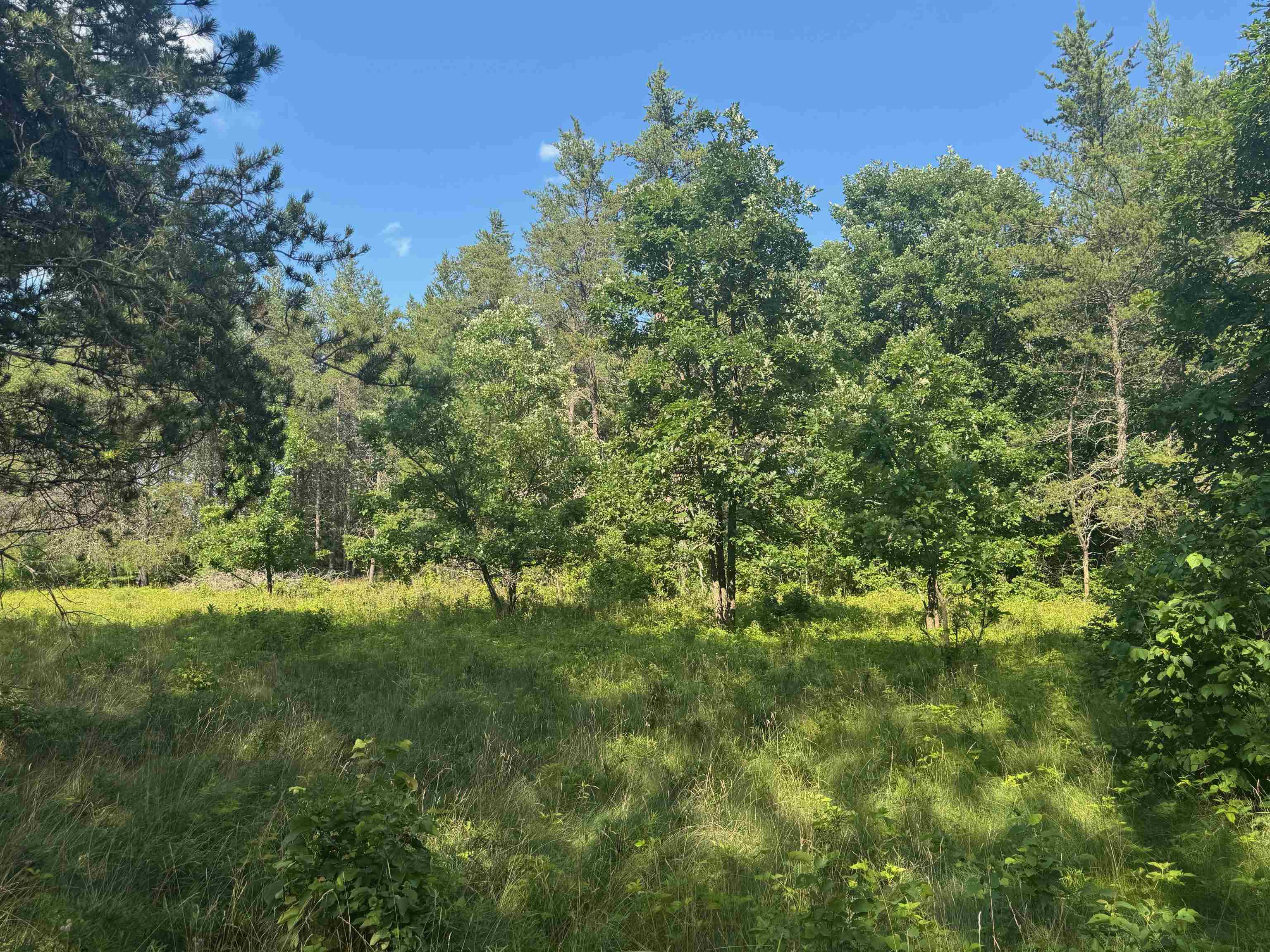 18.8 acres on State Hwy 27 Hayward WI 54843 - Spring 6121522 image17