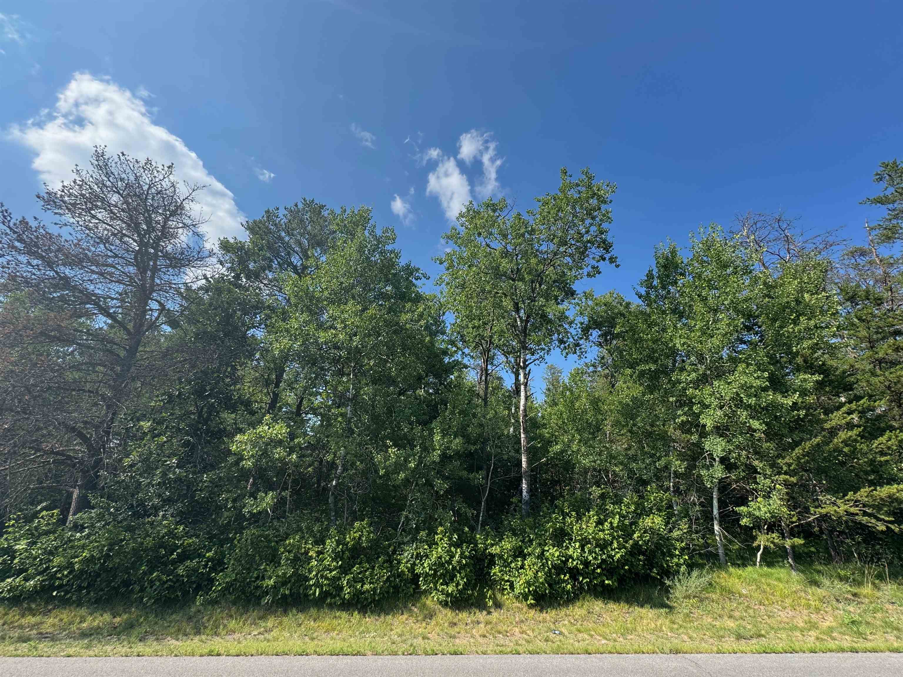 18.8 acres on State Hwy 27 Hayward WI 54843 - Spring 6121522 image18