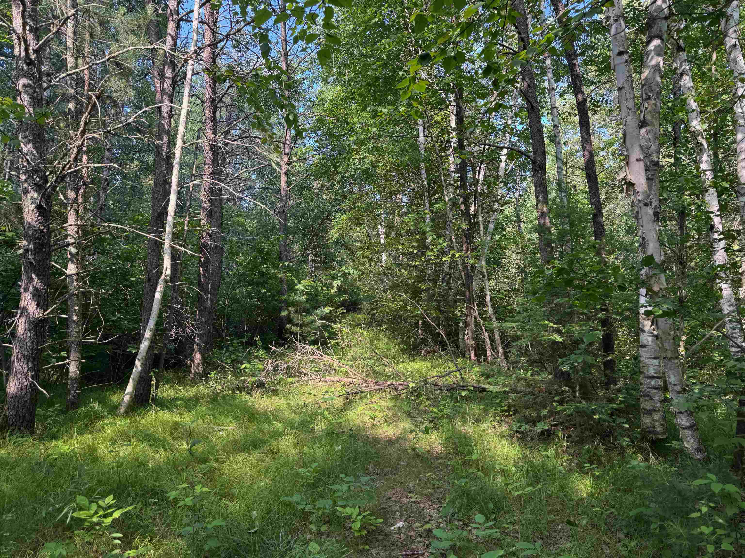 18.8 acres on State Hwy 27 Hayward WI 54843 - Spring 6121522 image19