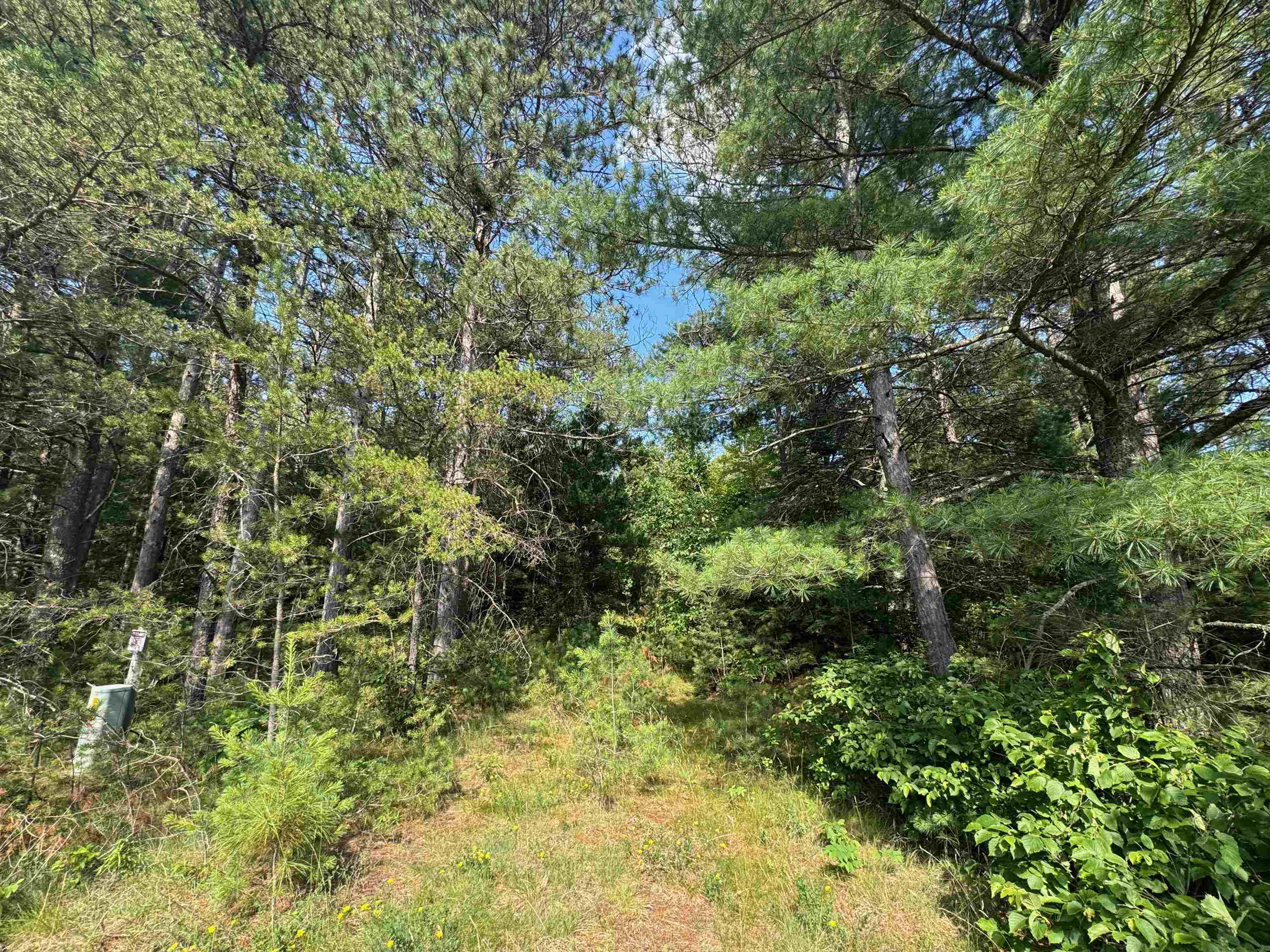 18.8 acres on State Hwy 27 Hayward WI 54843 - Spring 6121522 image22