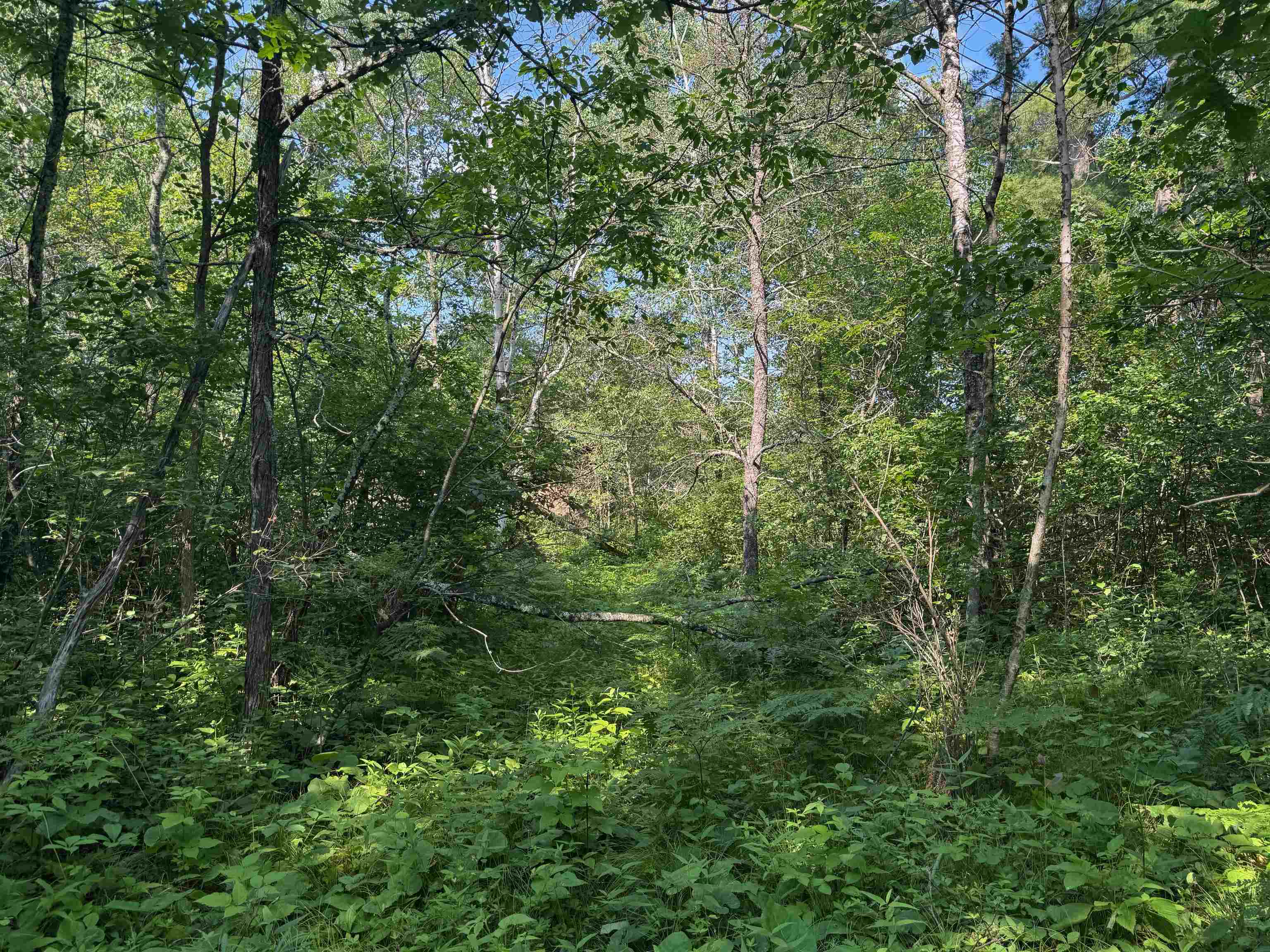 18.8 acres on State Hwy 27 Hayward WI 54843 - Spring 6121522 image24