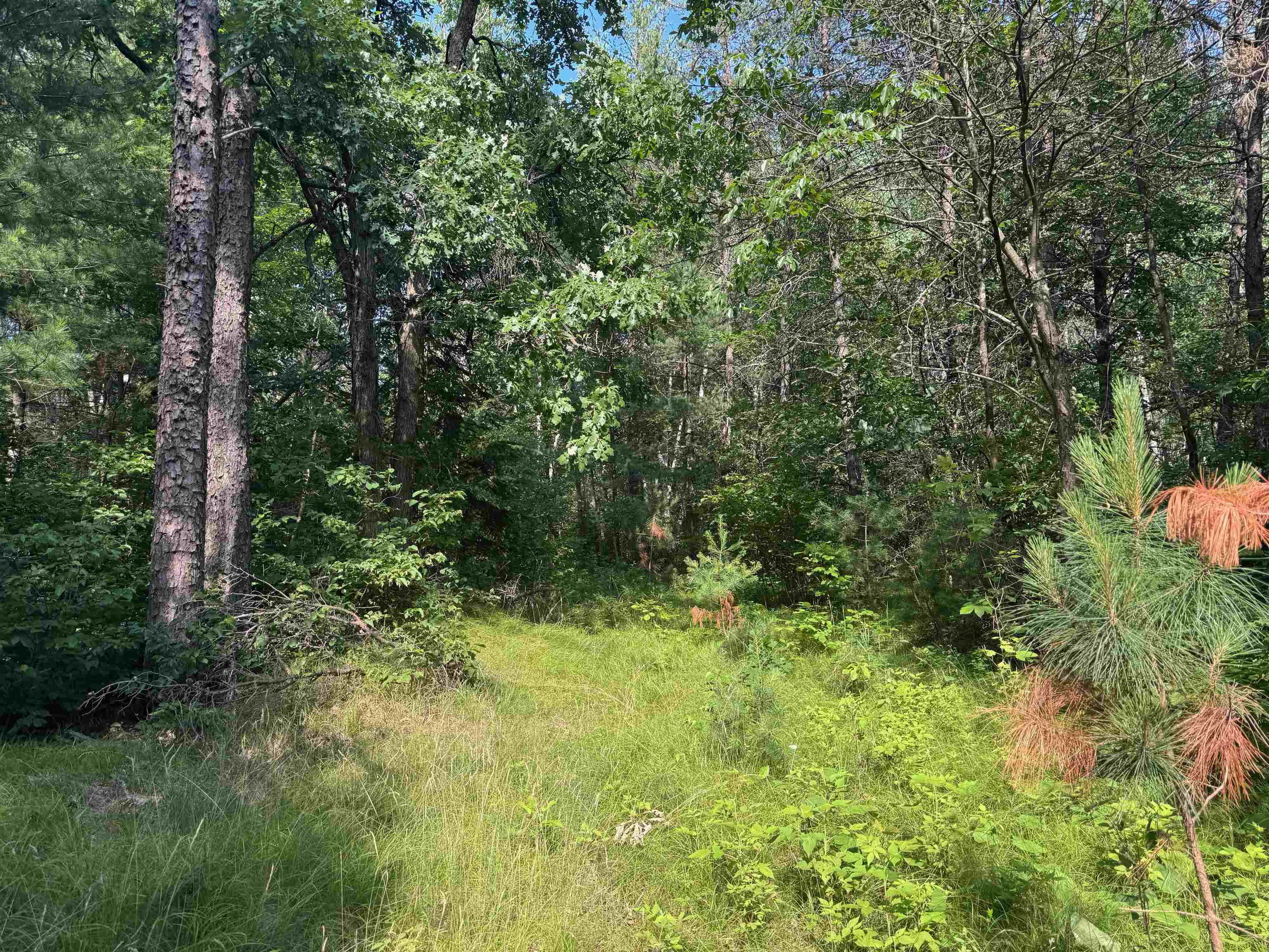 18.8 acres on State Hwy 27 Hayward WI 54843 - Spring 6121522 image28