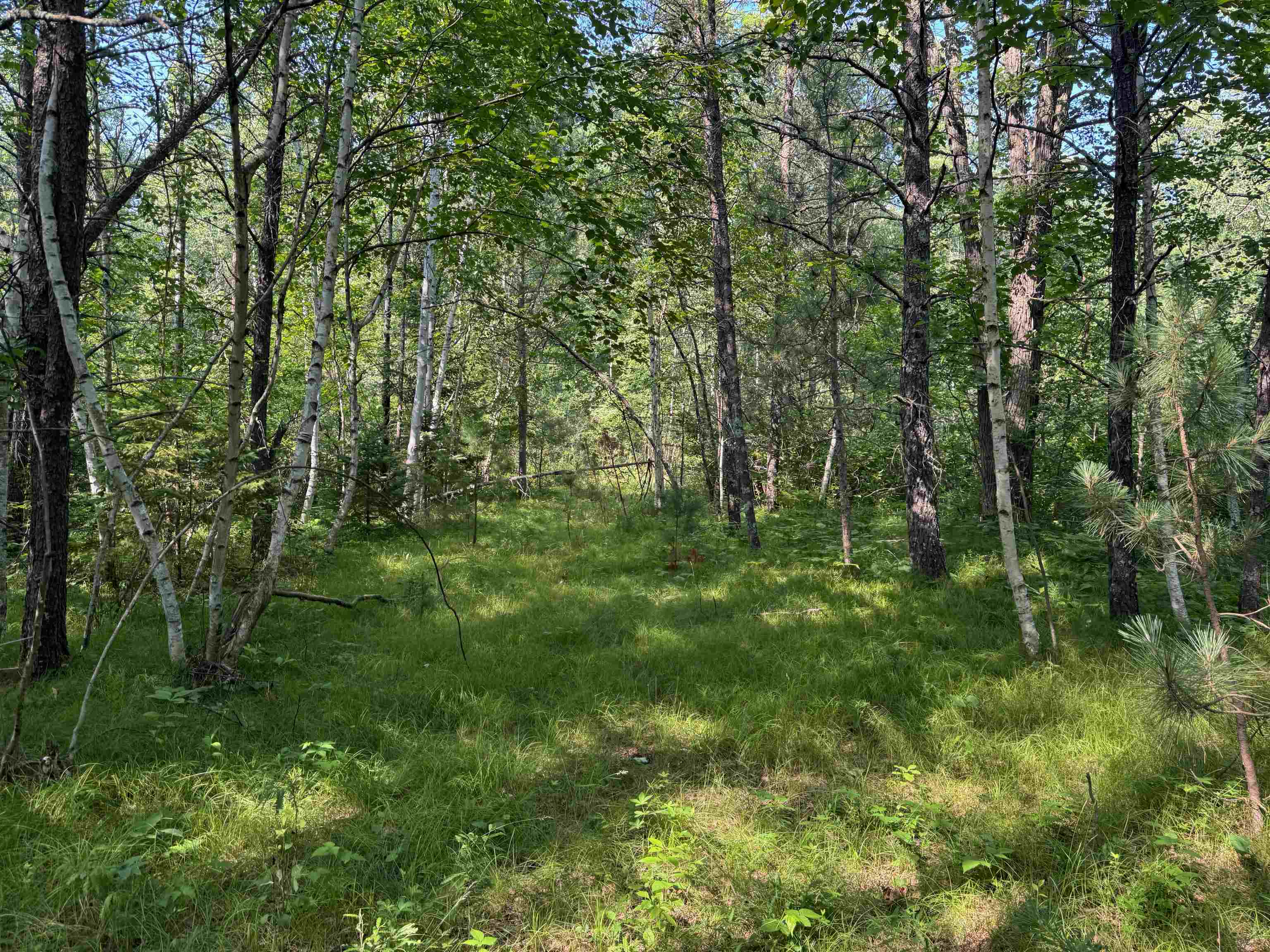 18.8 acres on State Hwy 27 Hayward WI 54843 - Spring 6121522 image29