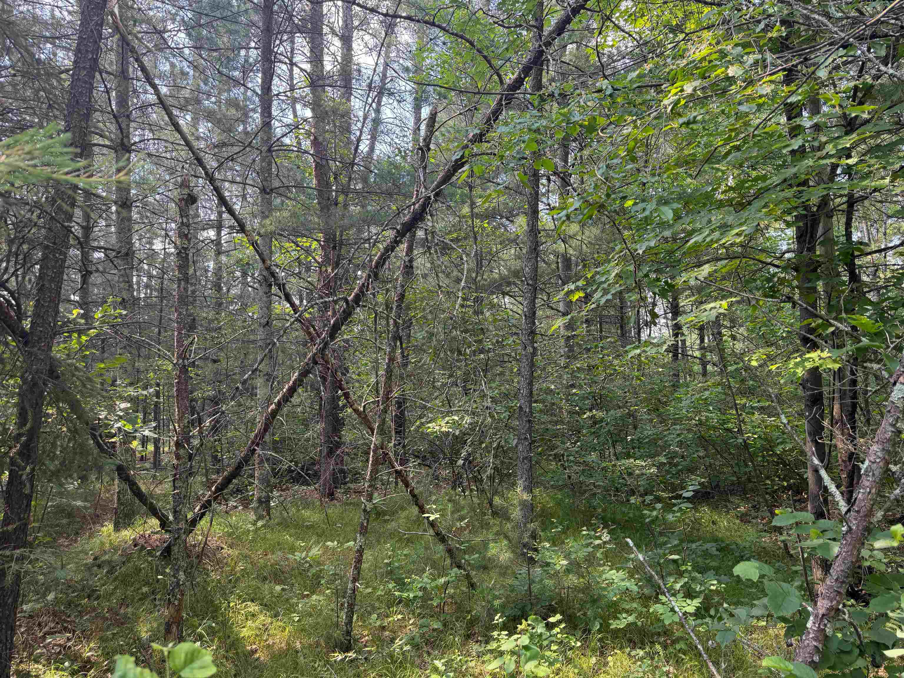 18.8 acres on State Hwy 27 Hayward WI 54843 - Spring 6121522 image34