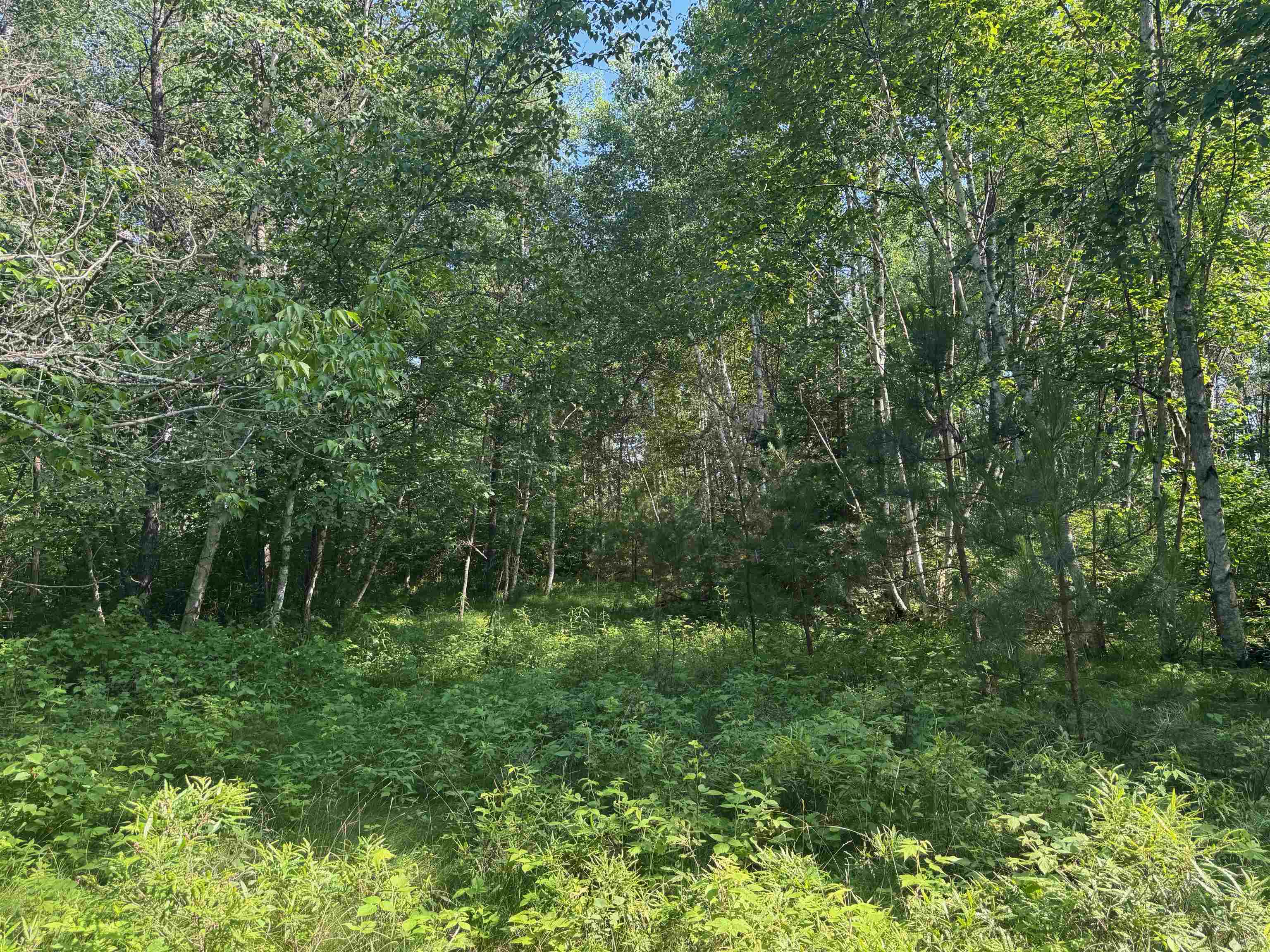 18.8 acres on State Hwy 27 Hayward WI 54843 - Spring 6121522 image44