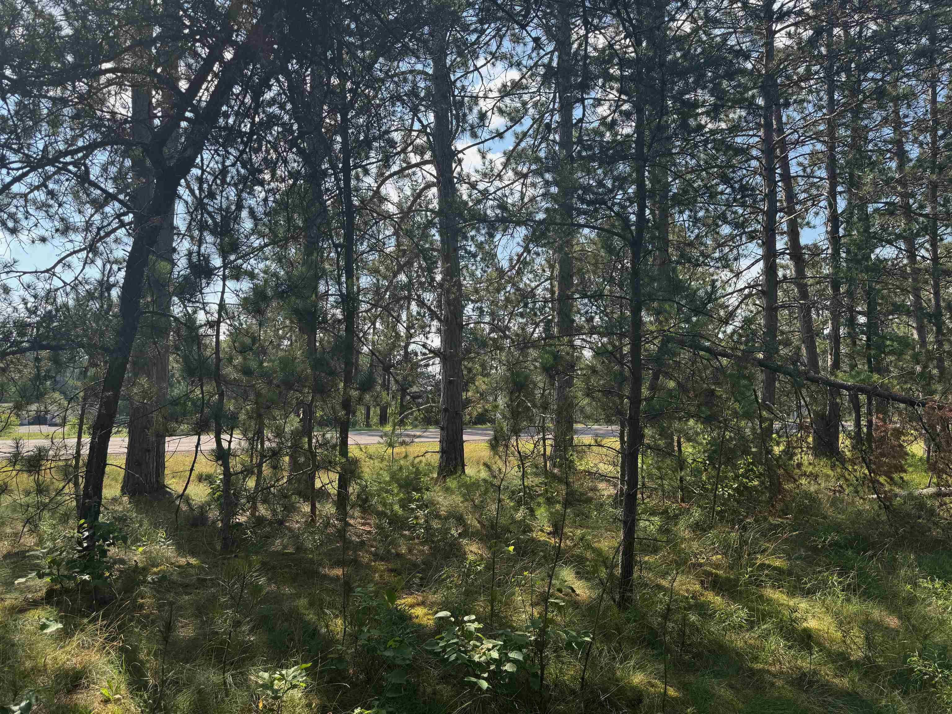 18.8 acres on State Hwy 27 Hayward WI 54843 - Spring 6121522 image46