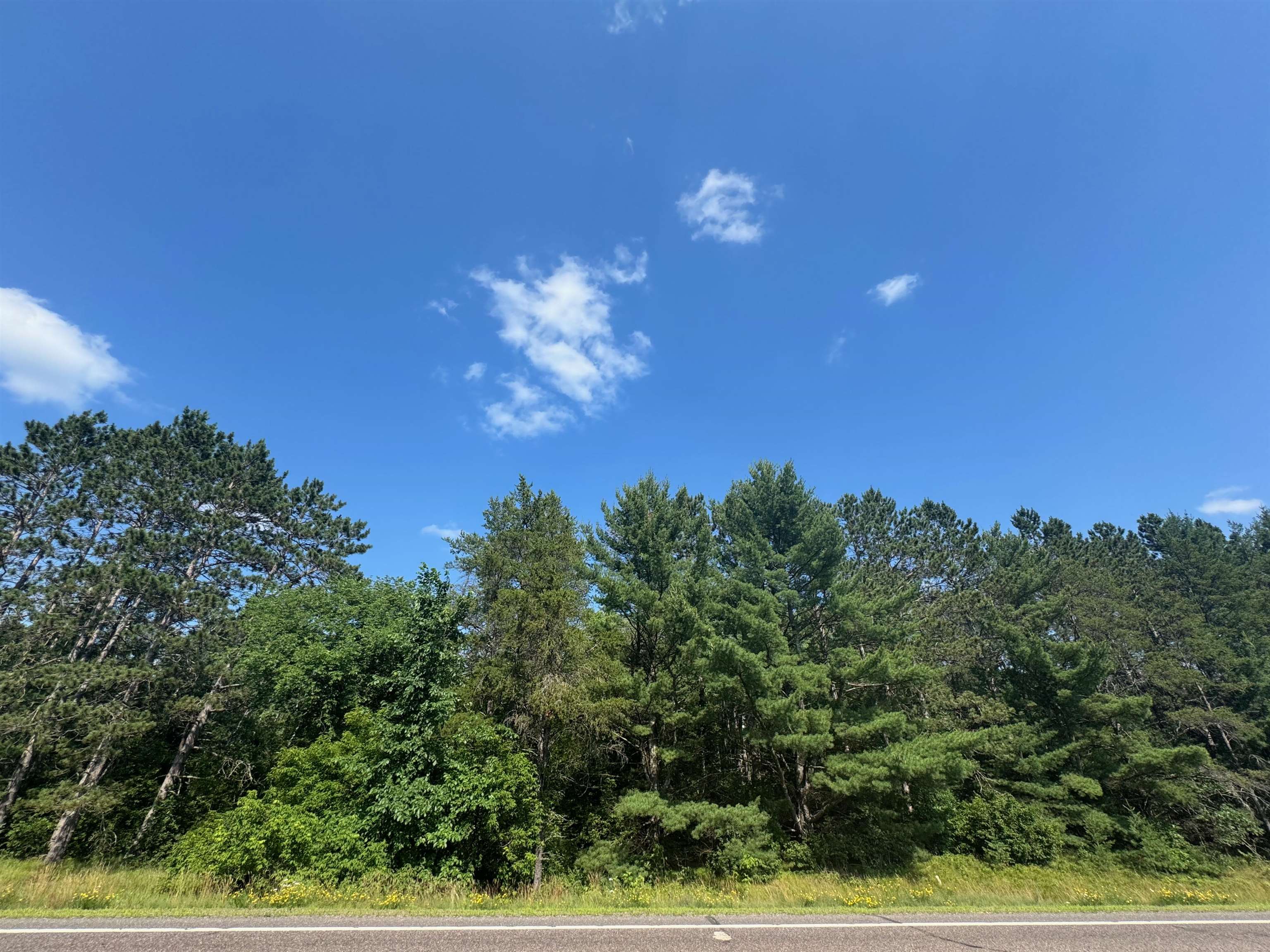 18.8 acres on State Hwy 27 Hayward WI 54843 - Spring 6121522 image50