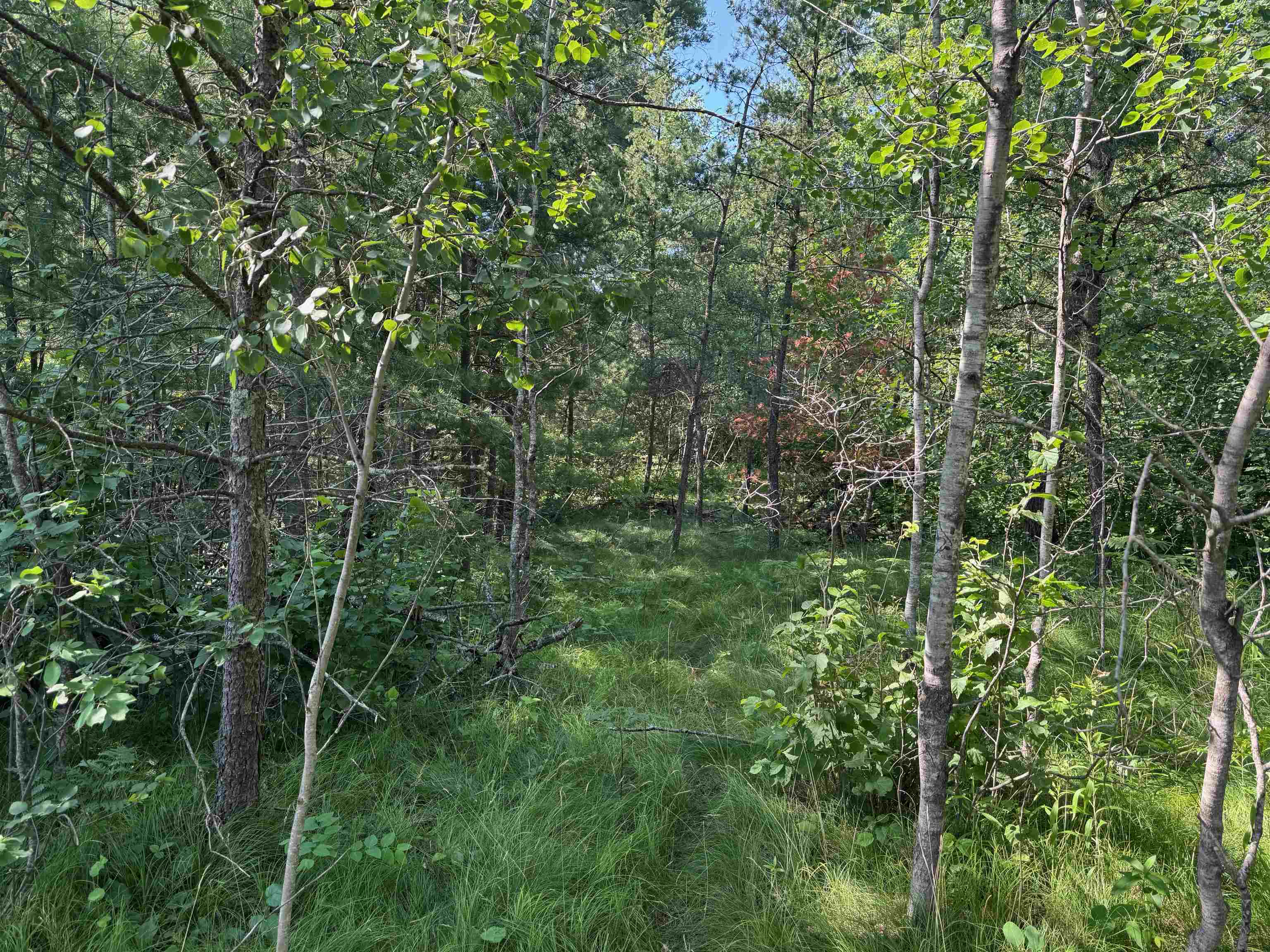 18.8 acres on State Hwy 27 Hayward WI 54843 - Spring 6121522 image52