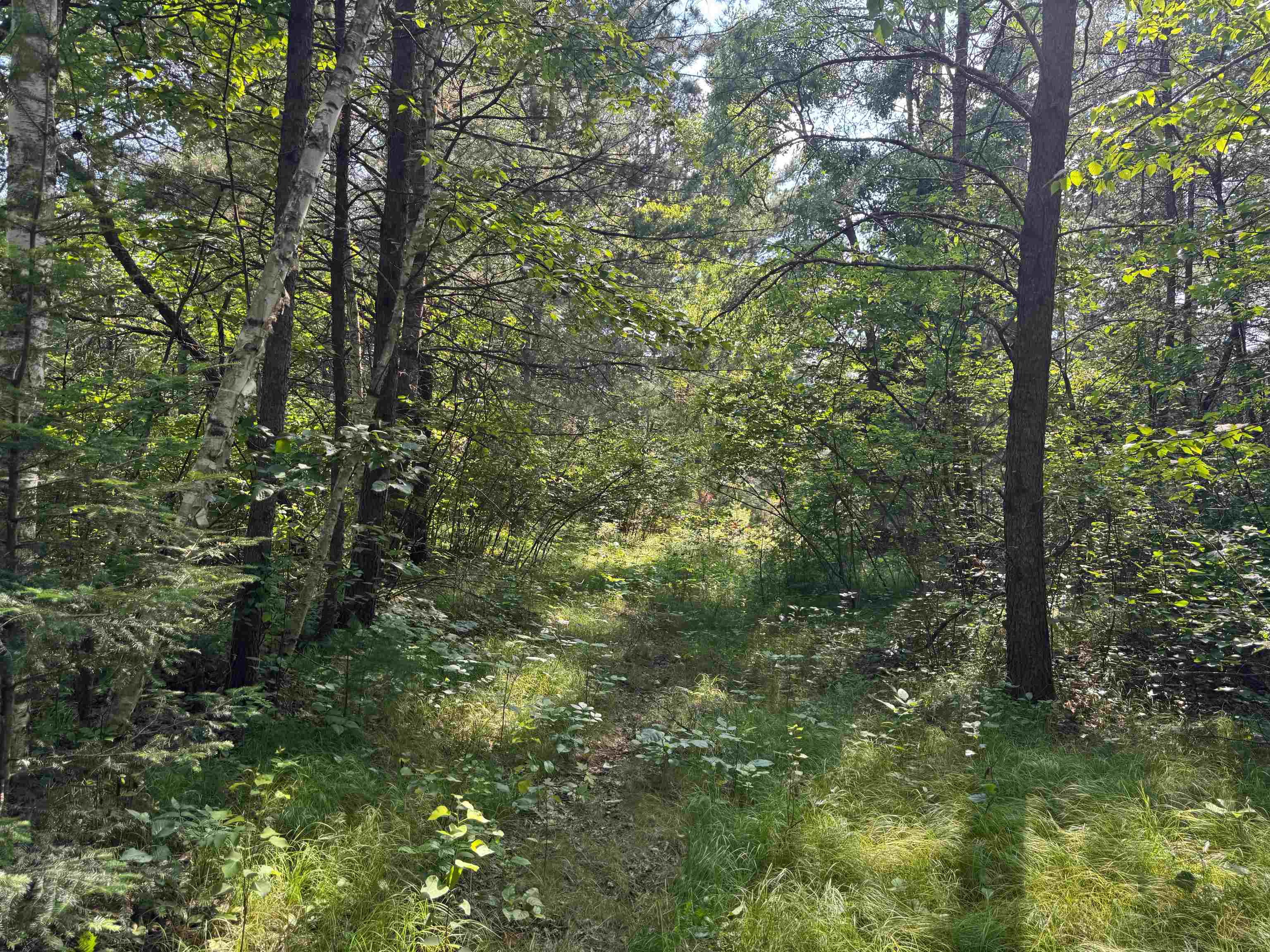 18.8 acres on State Hwy 27 Hayward WI 54843 - Spring 6121522 image53